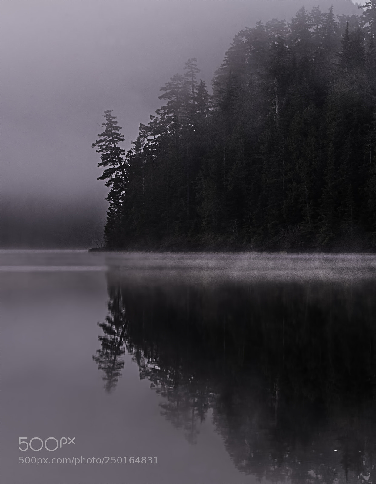Sony a7R sample photo. Fog on the water photography