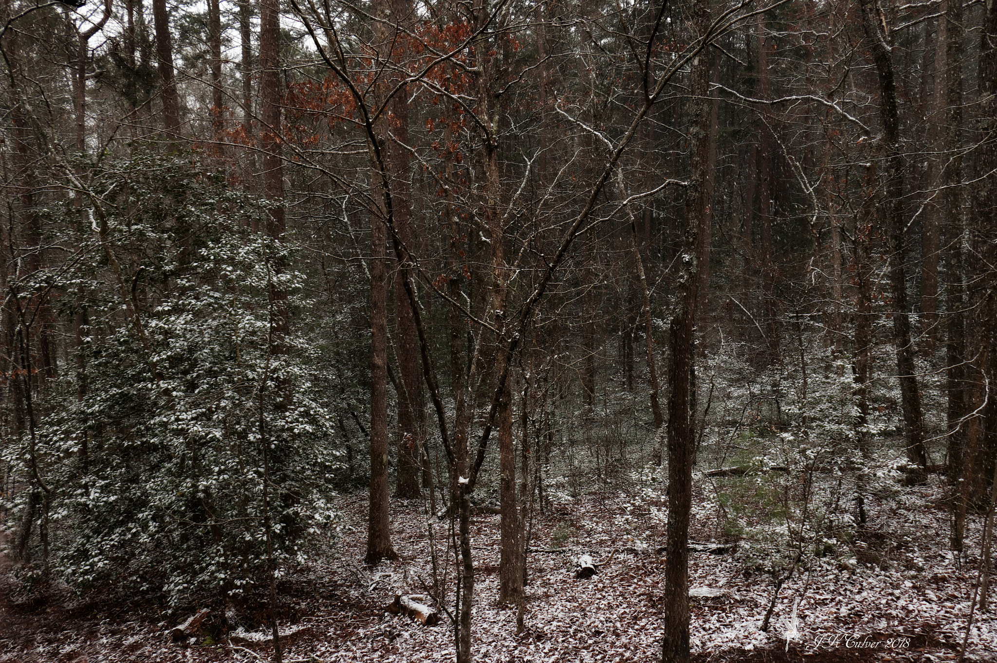 Canon EOS 77D (EOS 9000D / EOS 770D) sample photo. North georgia spring photography