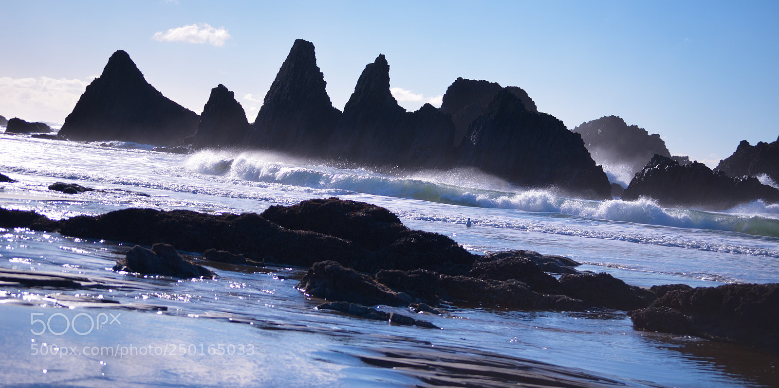 Nikon D5100 sample photo. Pacific coast beach photography