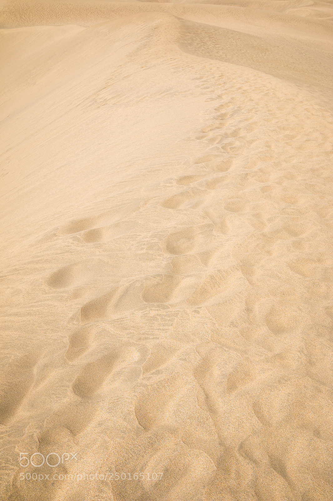Canon EOS 70D sample photo. Walking on the dune photography