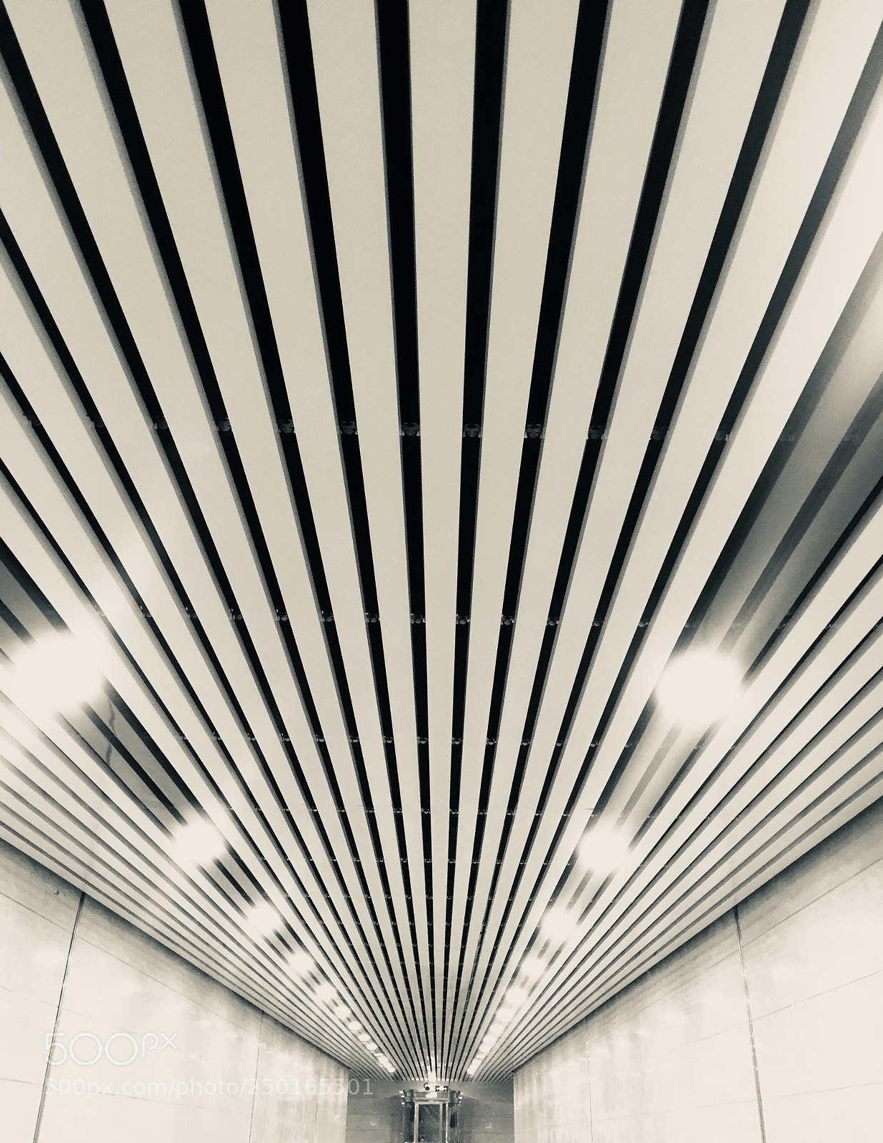 Apple iPhone 6 Plus sample photo. Untitled photography