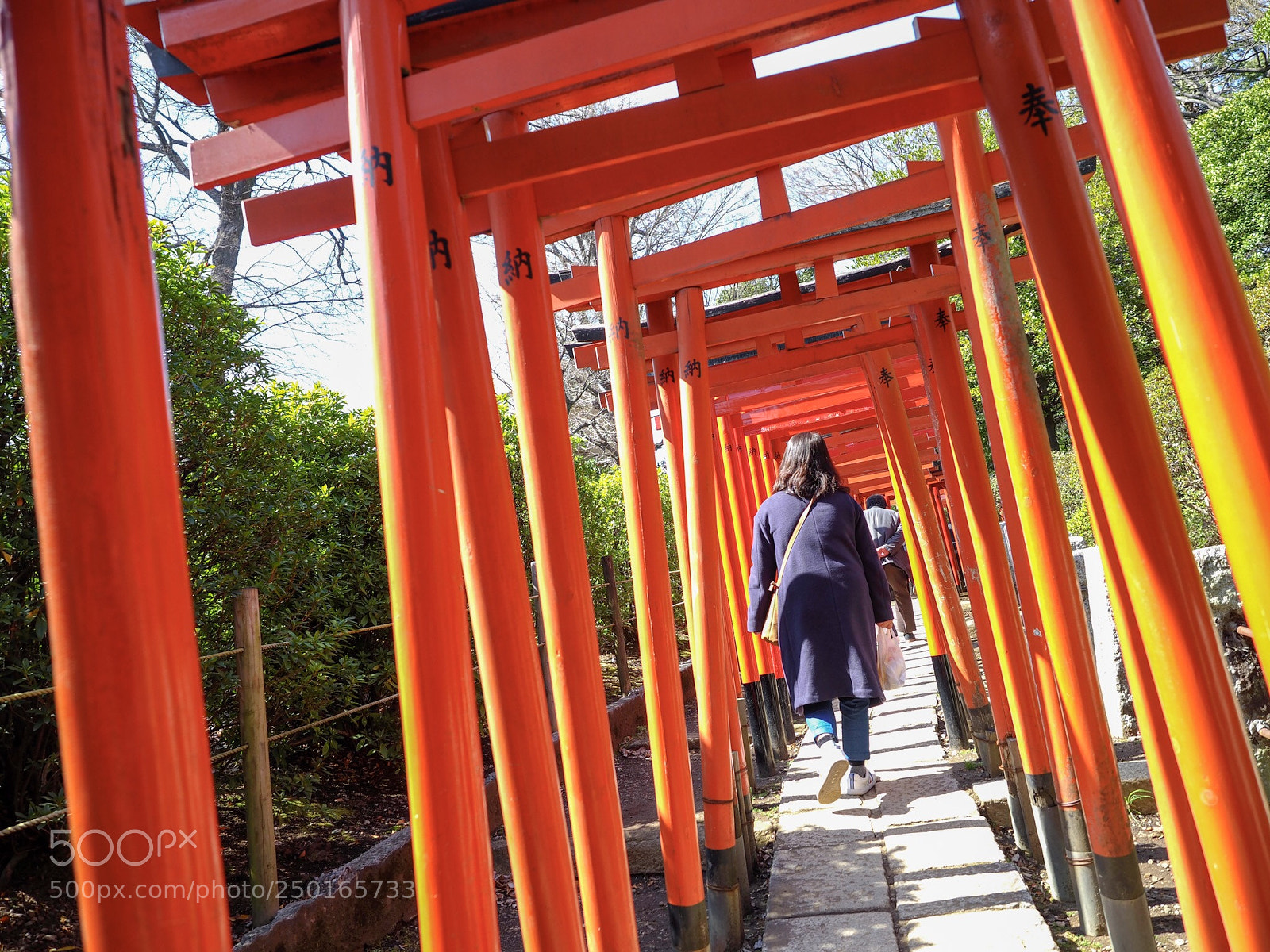 Olympus OM-D E-M1 Mark II sample photo. Japanese shrine 「
nezu shrine」 photography