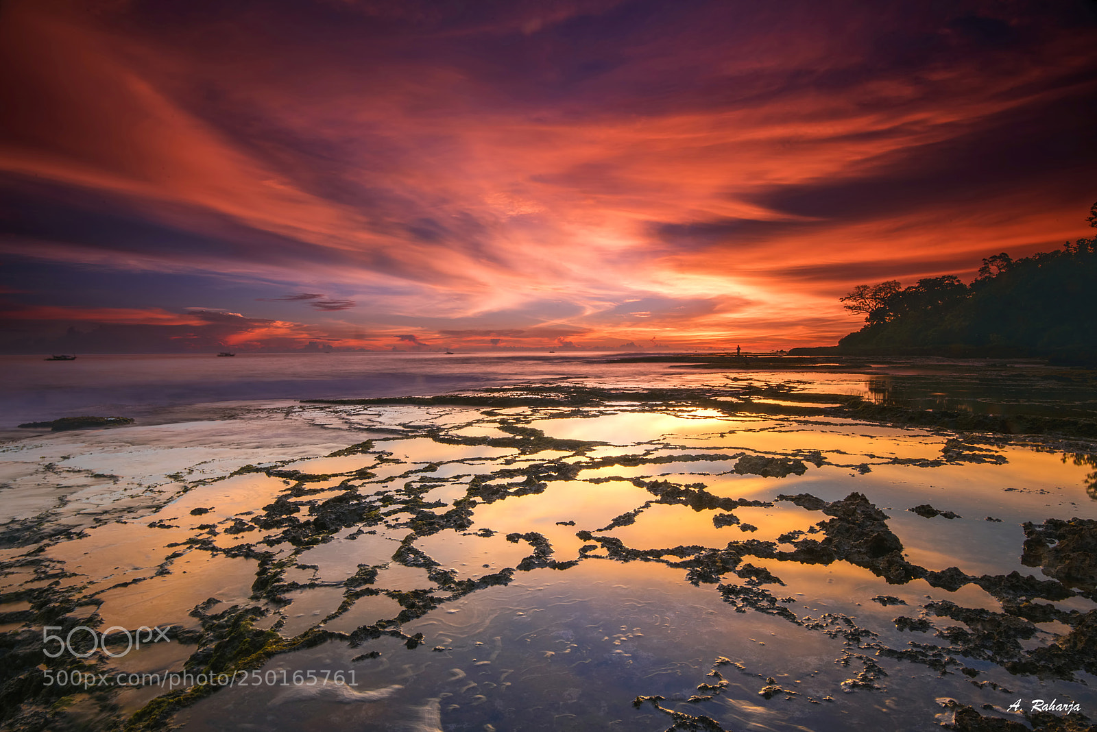 Nikon D810 sample photo. Puddle 6 photography