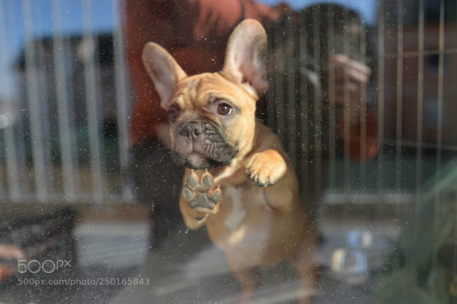 Nikon Df sample photo. Windower photography