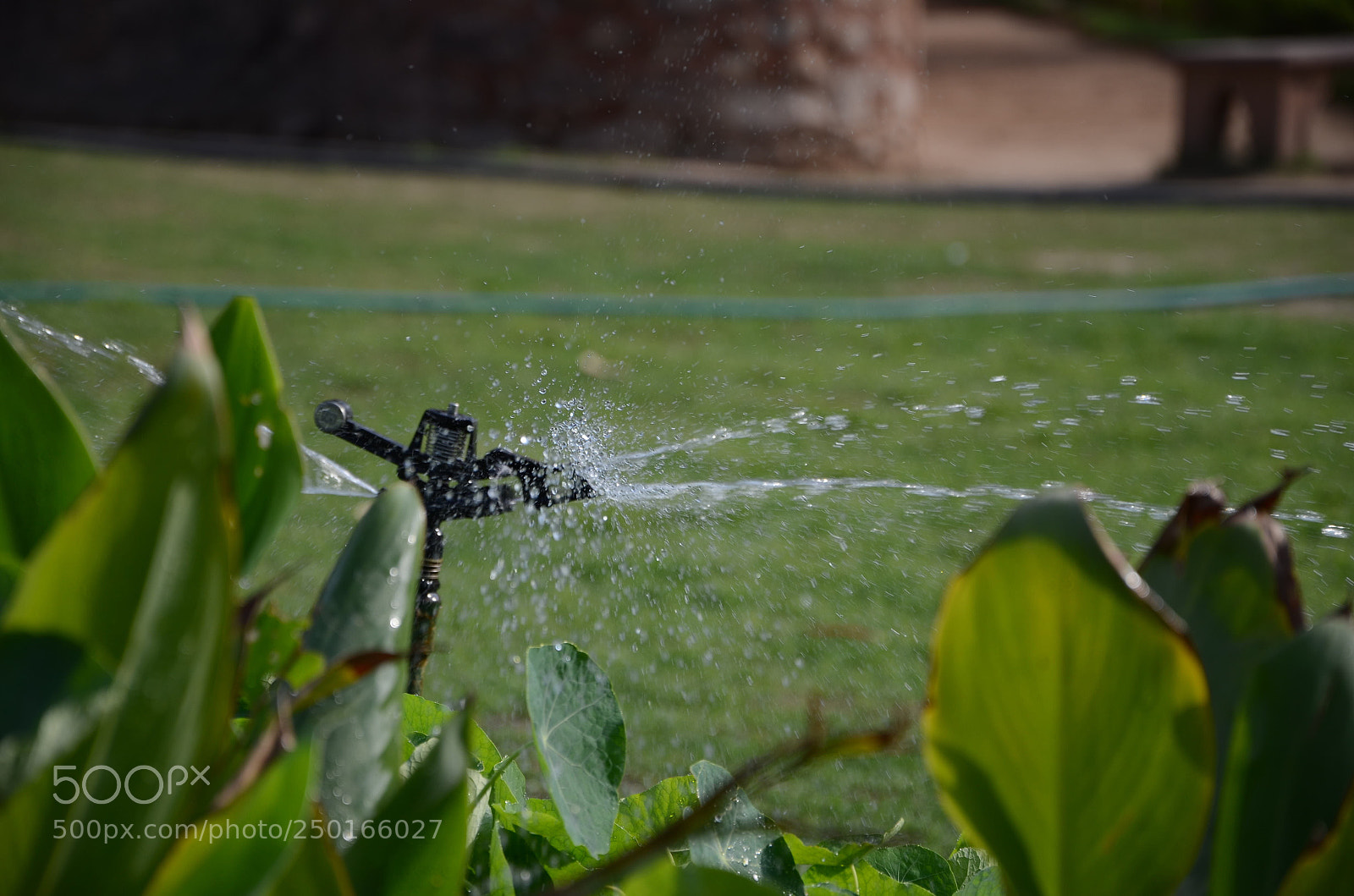 Nikon D7000 sample photo. Fountain photography