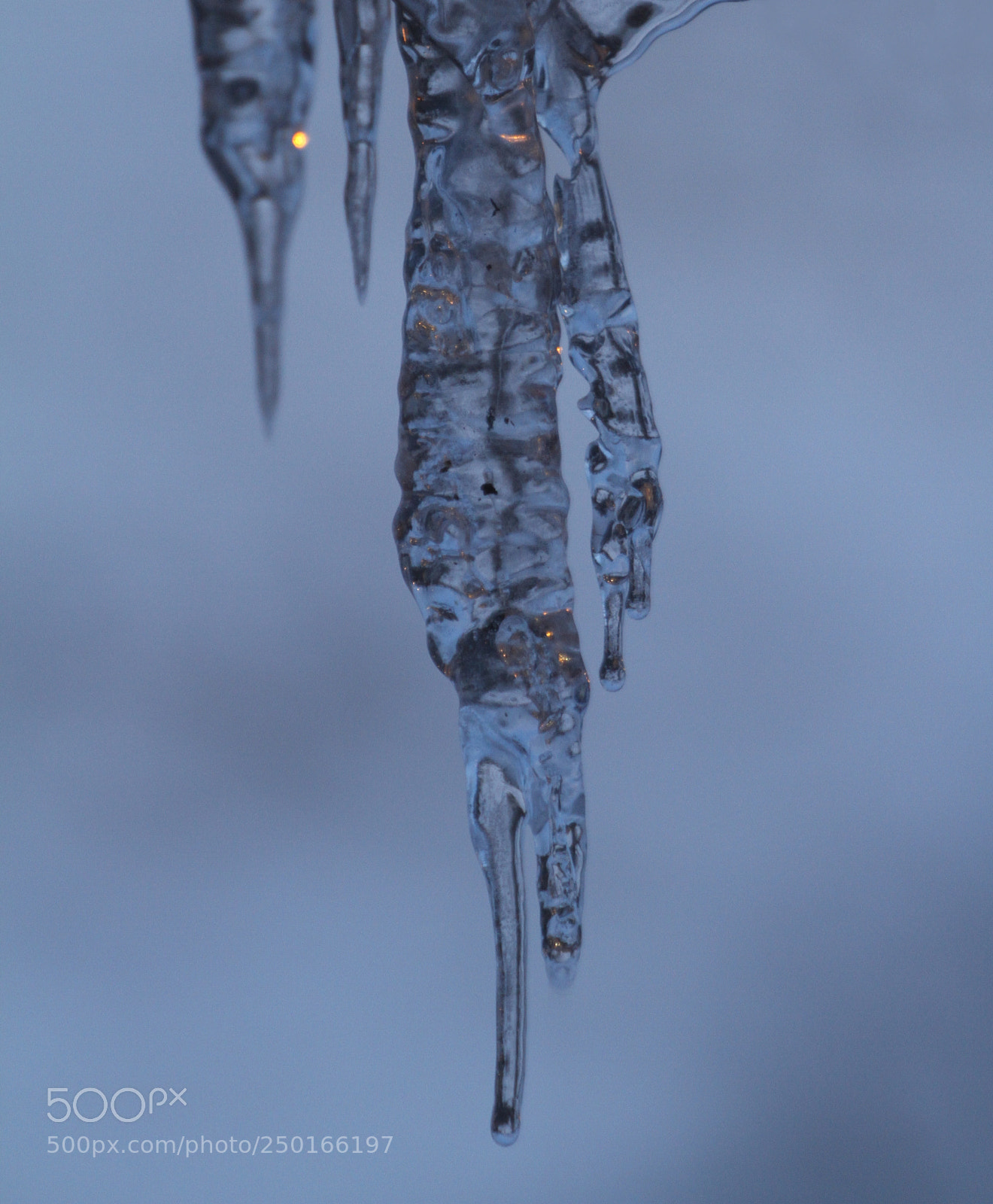 Canon EOS 7D sample photo. Icicles photography