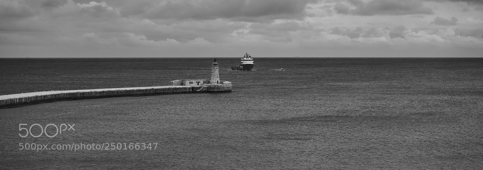 Sony a7 sample photo. Coming home photography