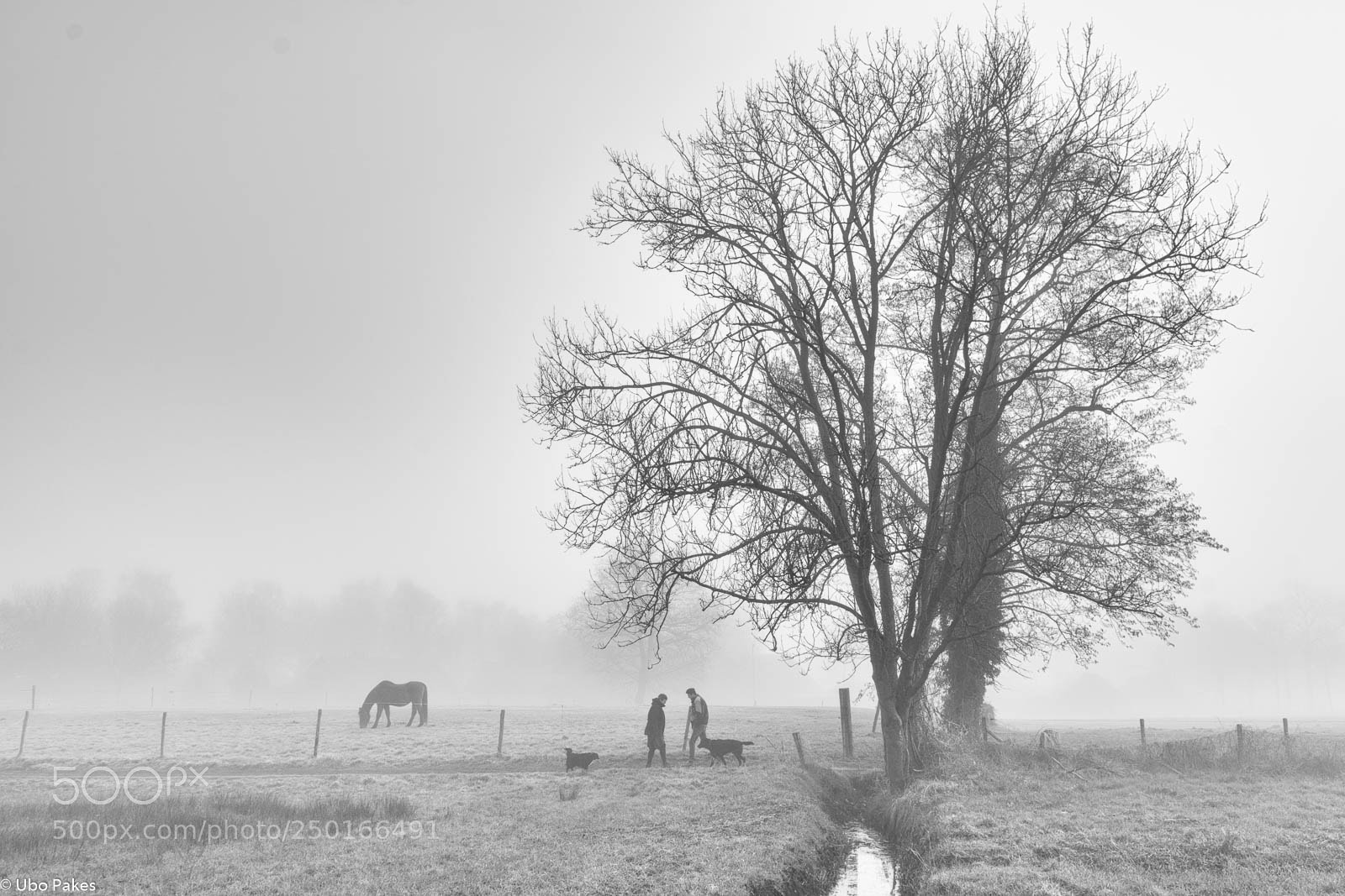 Sony a6300 sample photo. Early morning encounters photography