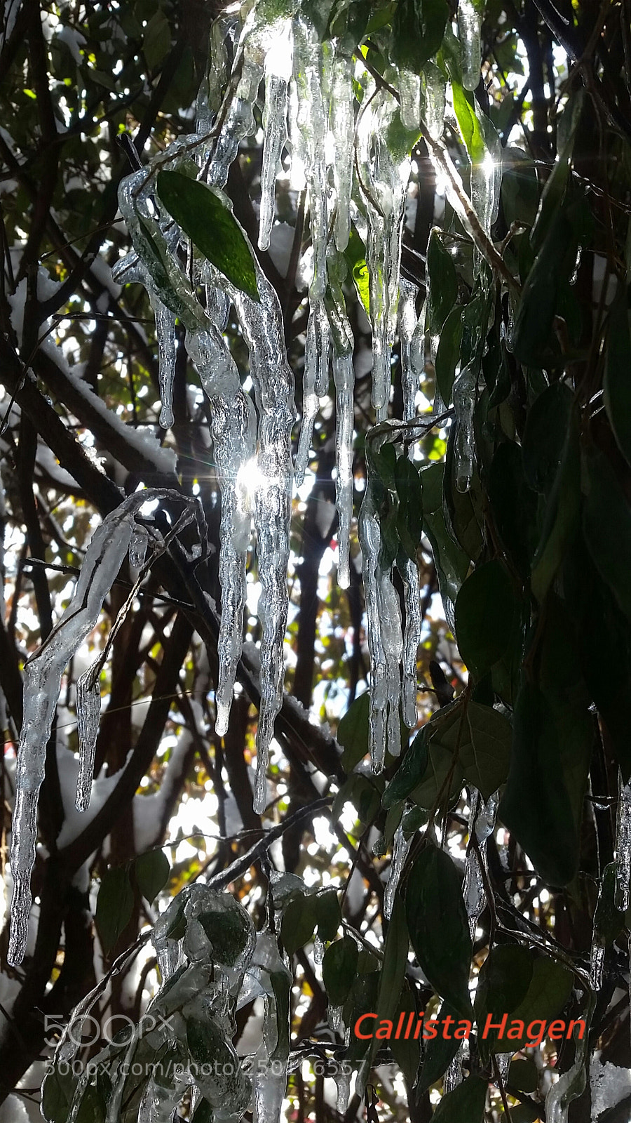 Samsung Galaxy S5 sample photo. Icicles photography