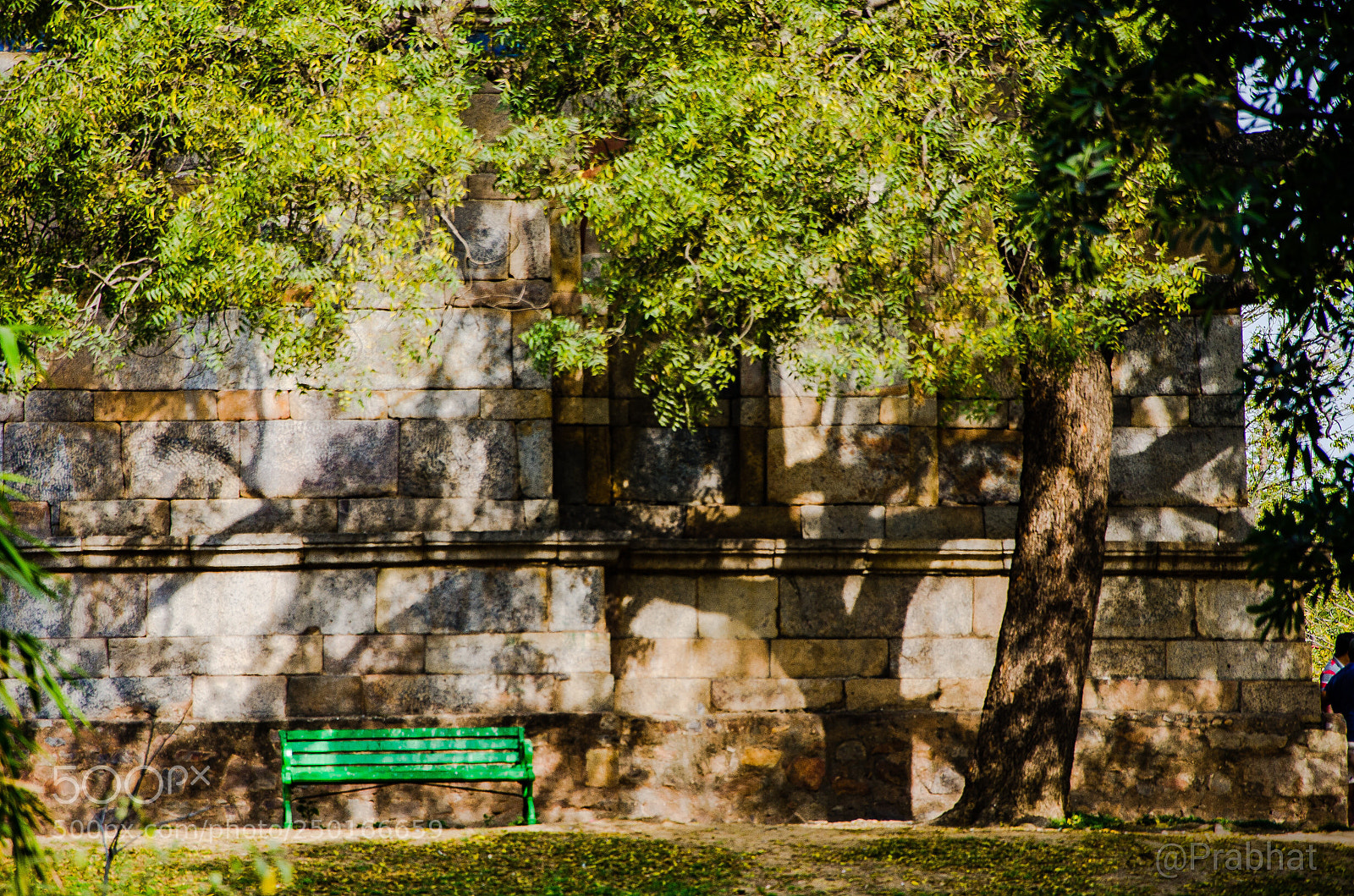 Nikon D7000 sample photo. Alone photography
