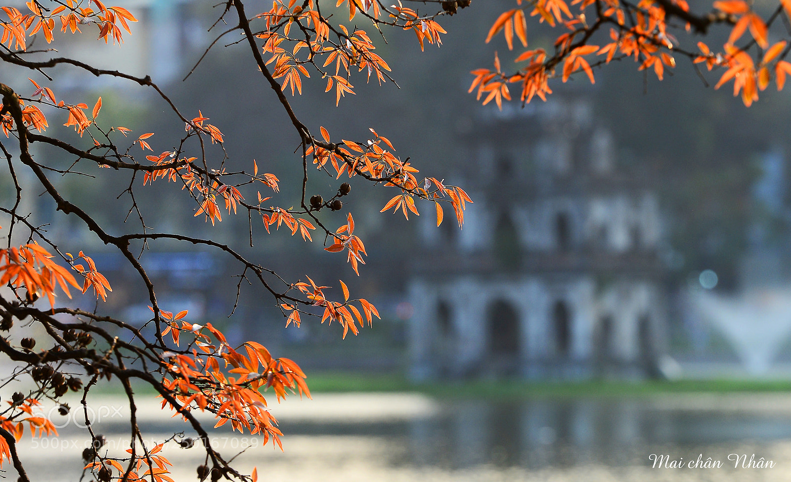 Nikon D600 sample photo. H ho n ki photography