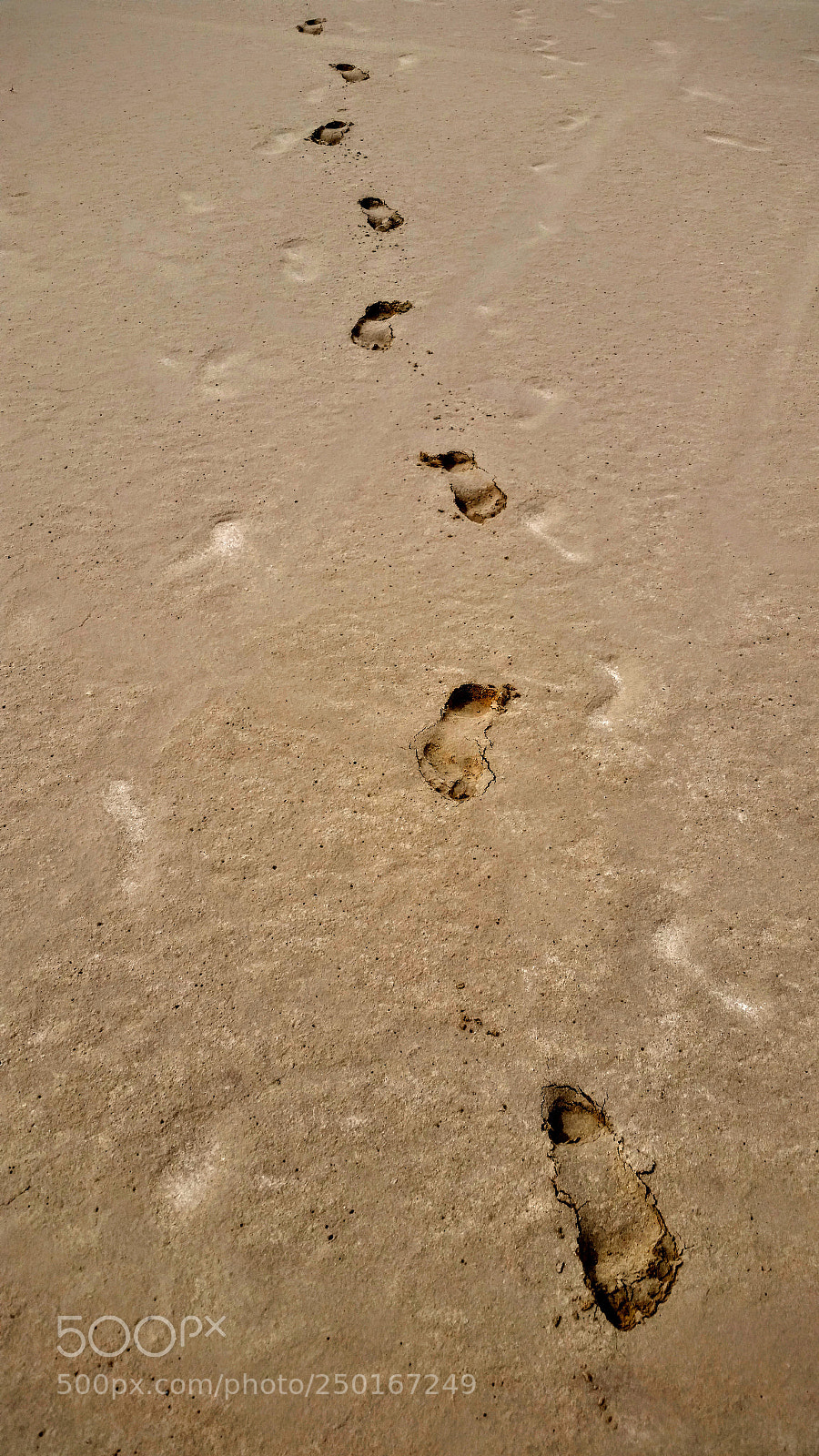 Samsung Galaxy S5 sample photo. Fading footsteps photography