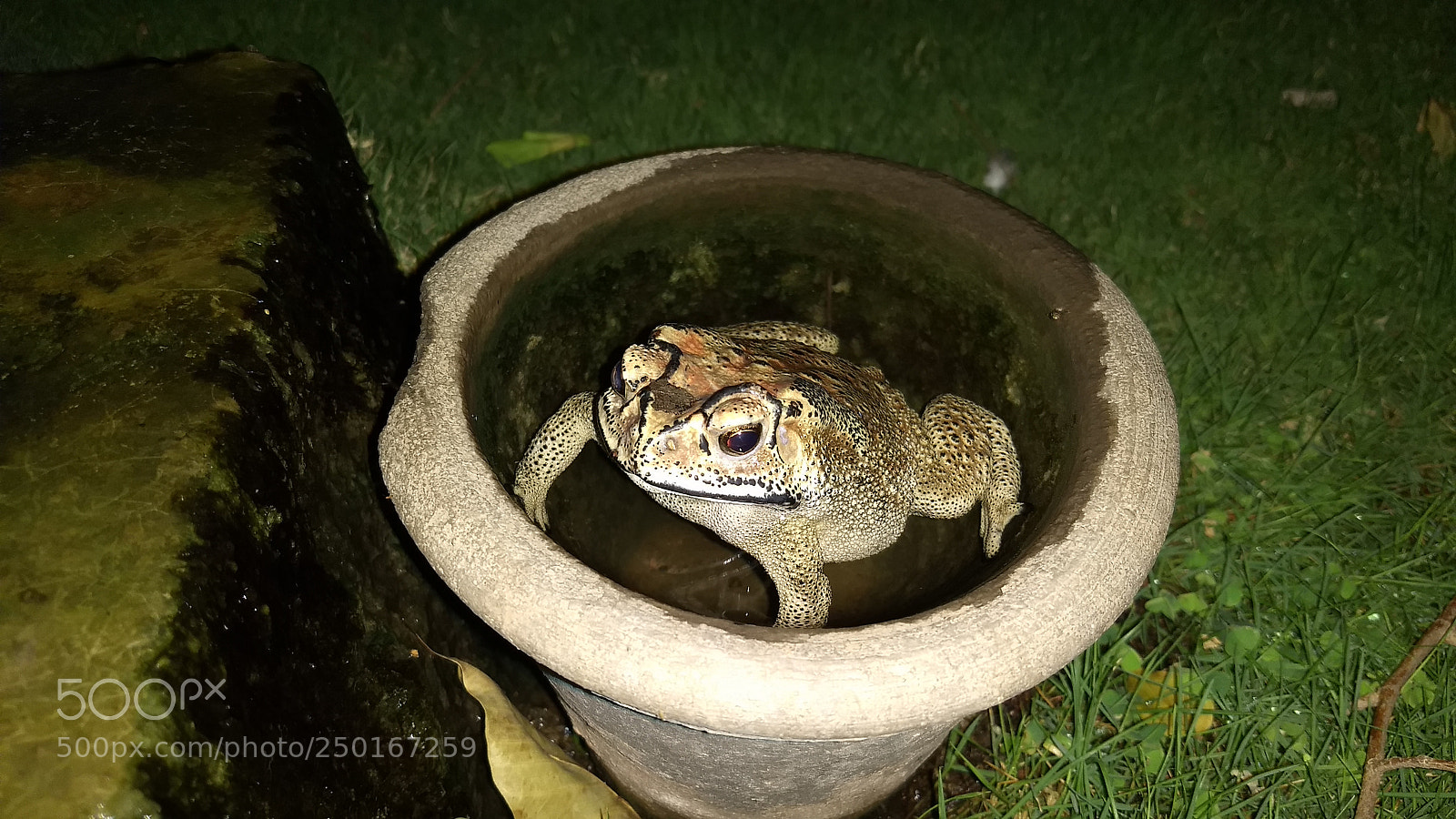 Motorola Moto G (5) Plus sample photo. Bathtub photography