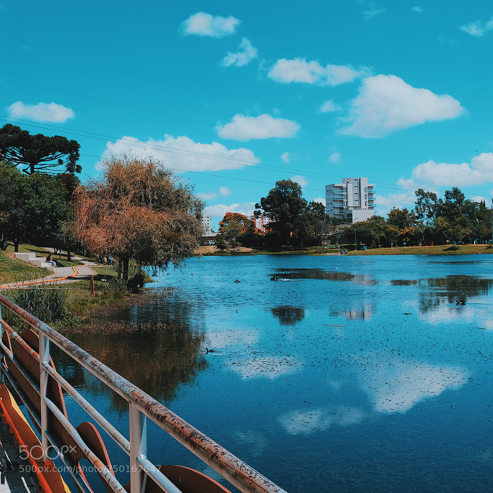Fujifilm X100F sample photo. Untitled photography
