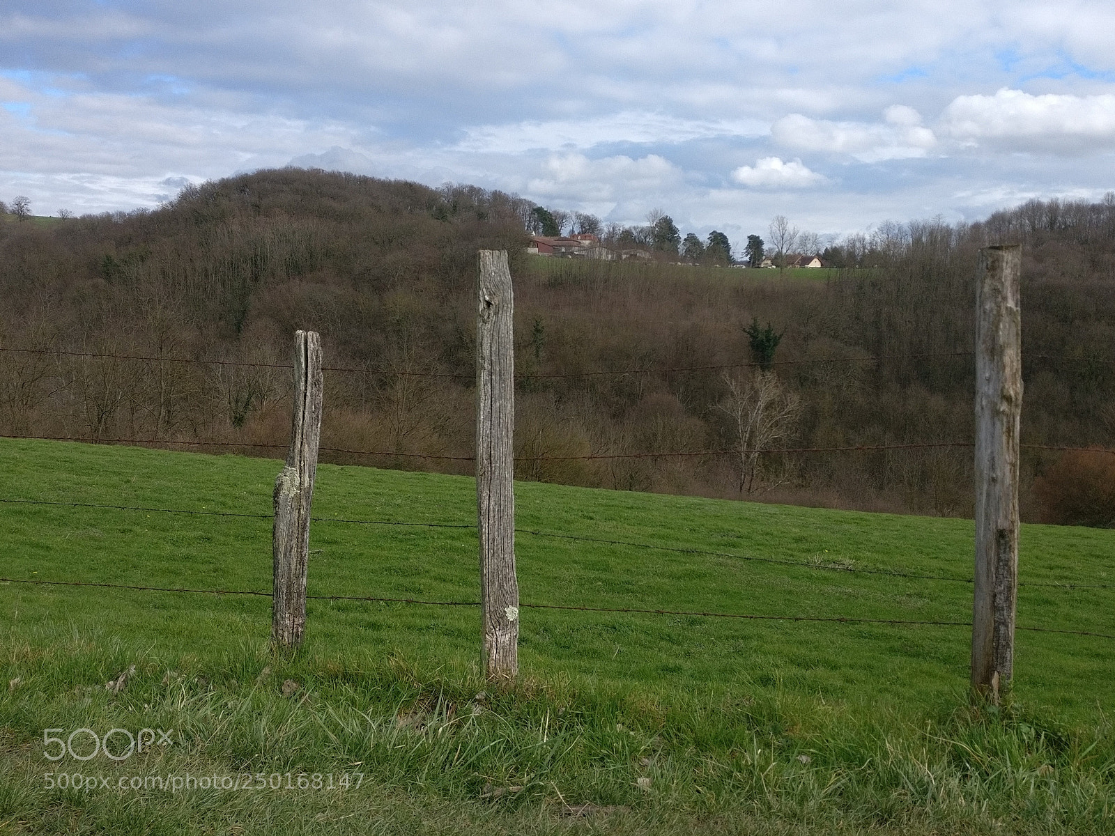 OnePlus A3003 sample photo. Untitled photography