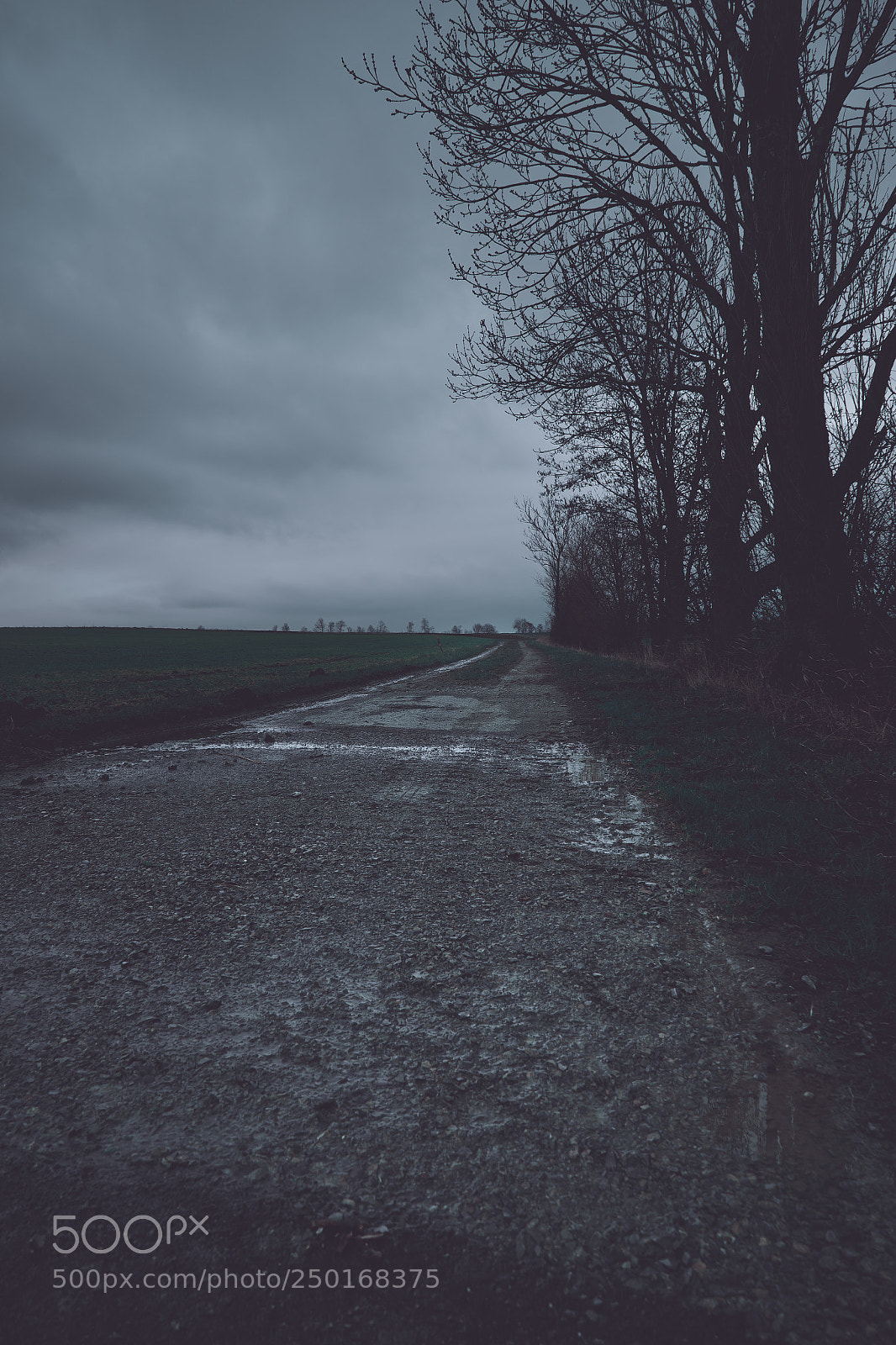 Sony a7 sample photo. Dark landscape view with photography