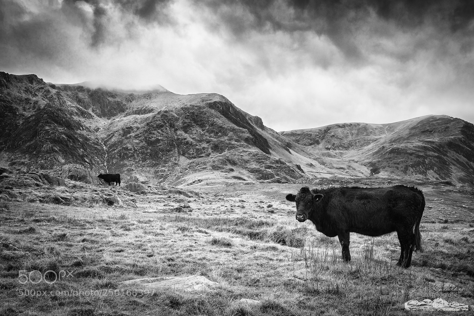 Canon EOS 5D Mark IV sample photo. Idyllic wales photography