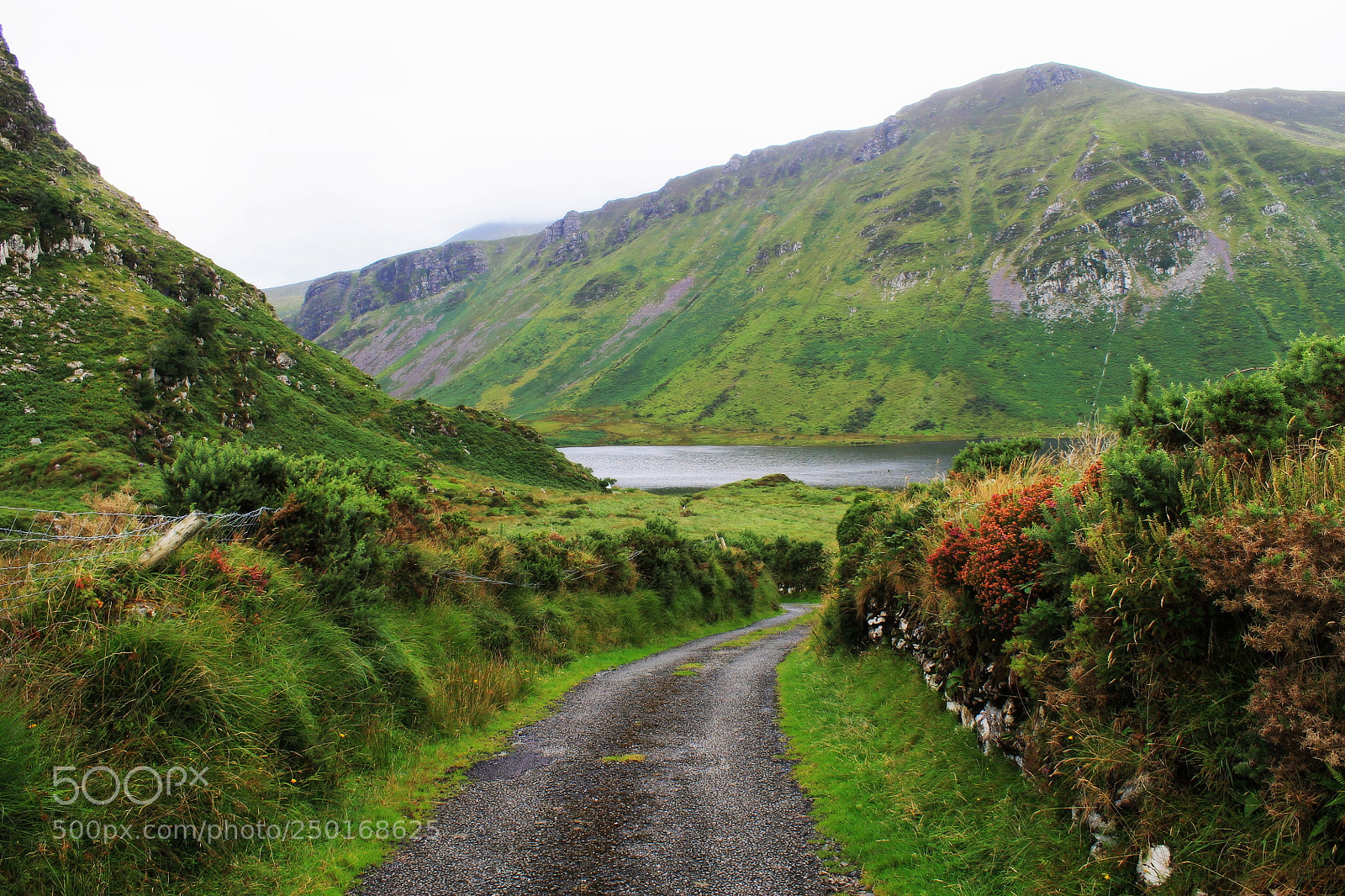 Canon EOS 1100D (EOS Rebel T3 / EOS Kiss X50) sample photo. Beautiful ireland photography