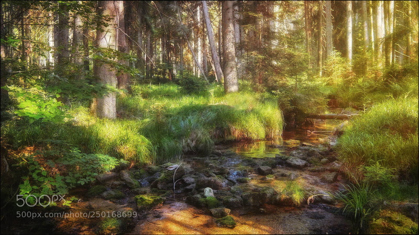 Fujifilm X-T1 sample photo. At the creek photography