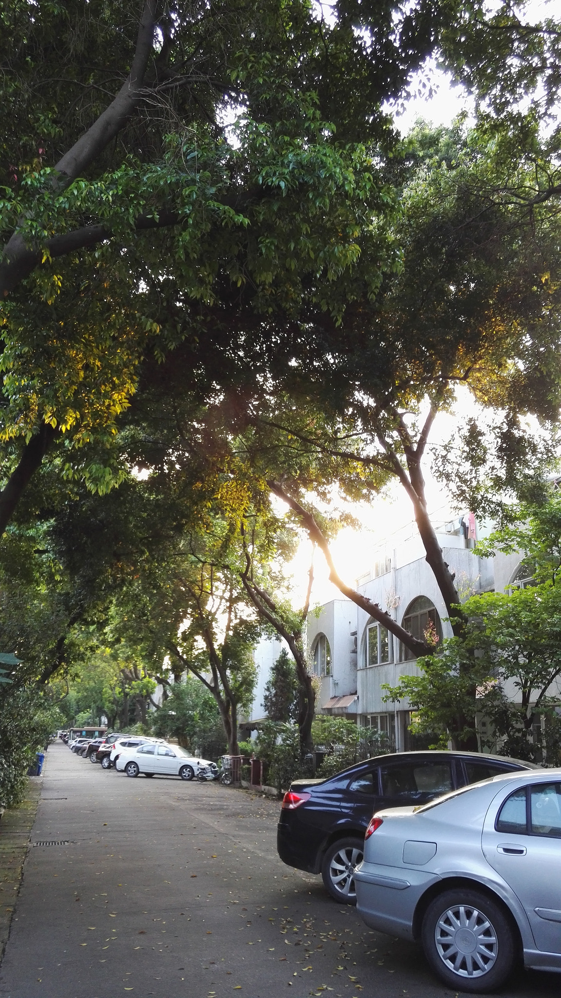 HUAWEI Honor 7 sample photo. 傍晚时分 photography