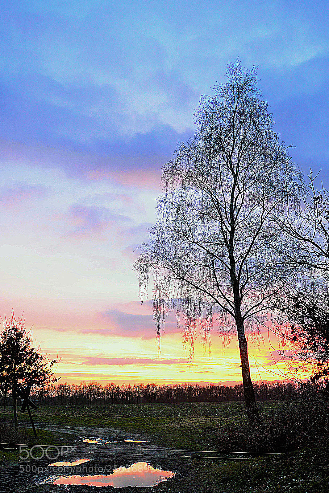 Nikon D5200 sample photo. Abendstimmung photography