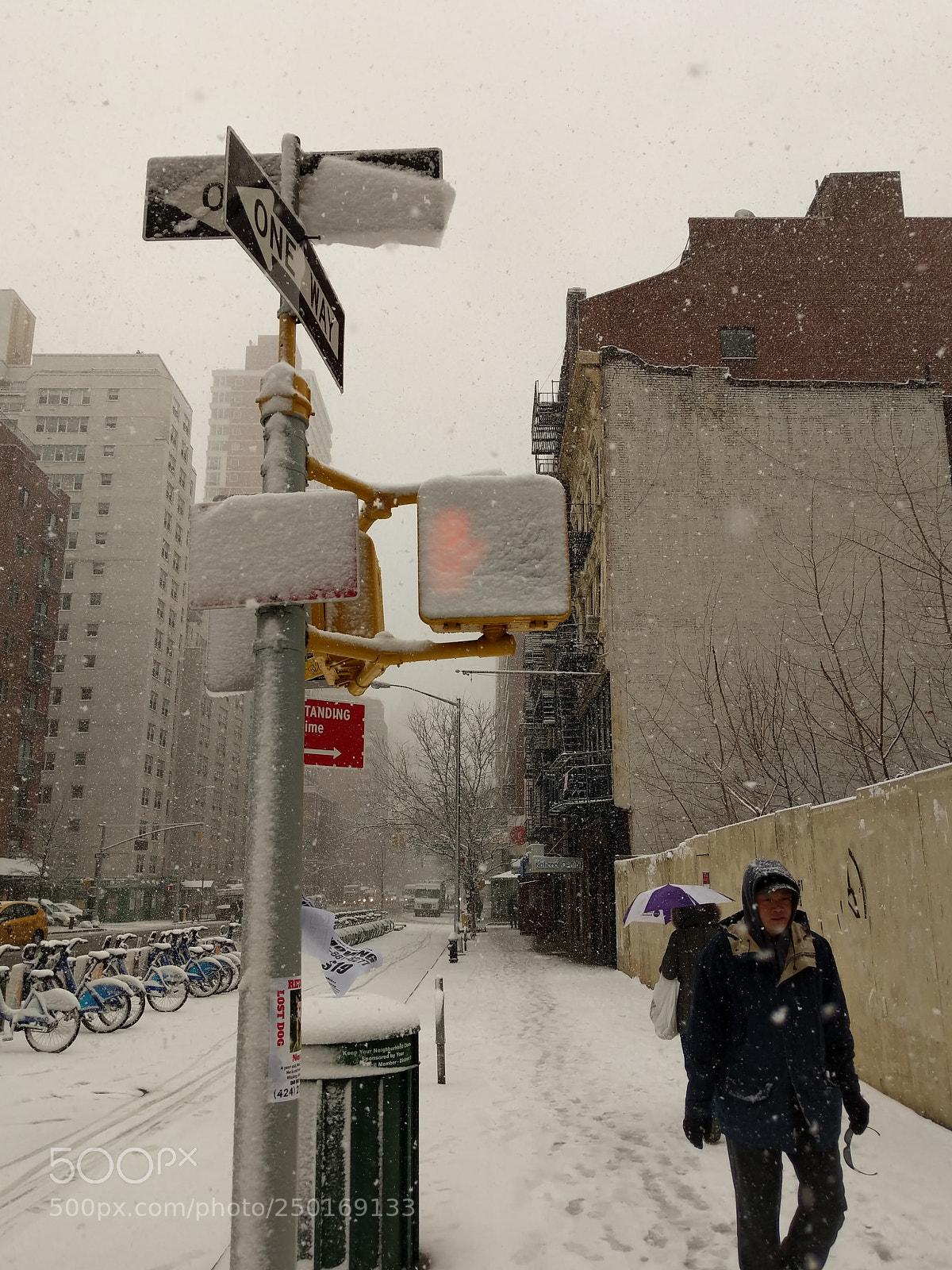 Google Pixel 2 XL sample photo. Stop! snowing... photography