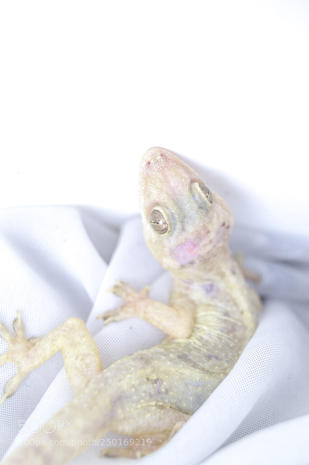 Nikon D3100 sample photo. First one in my photography