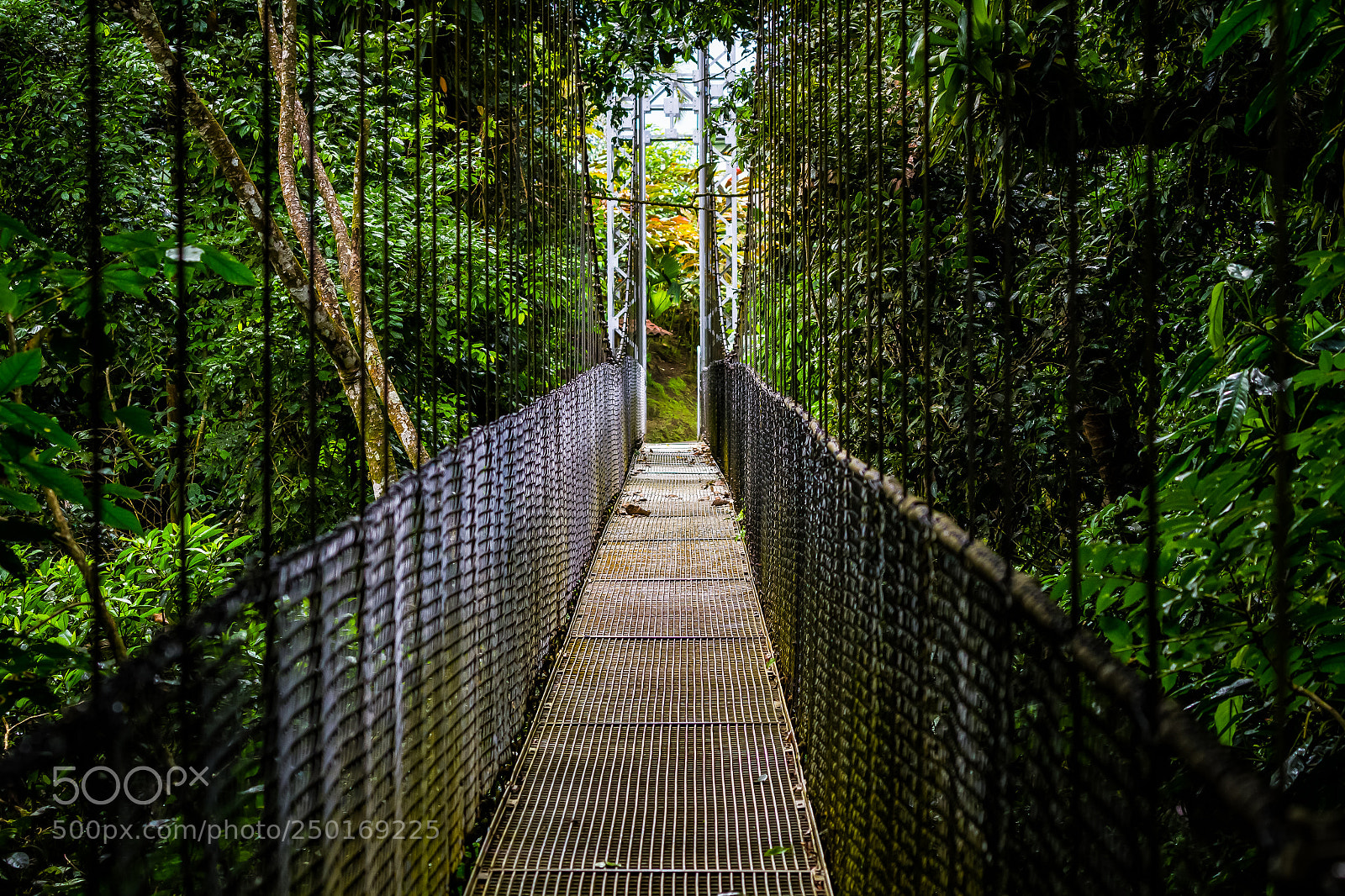 Canon EOS 7D sample photo. A bridge to somewhere photography