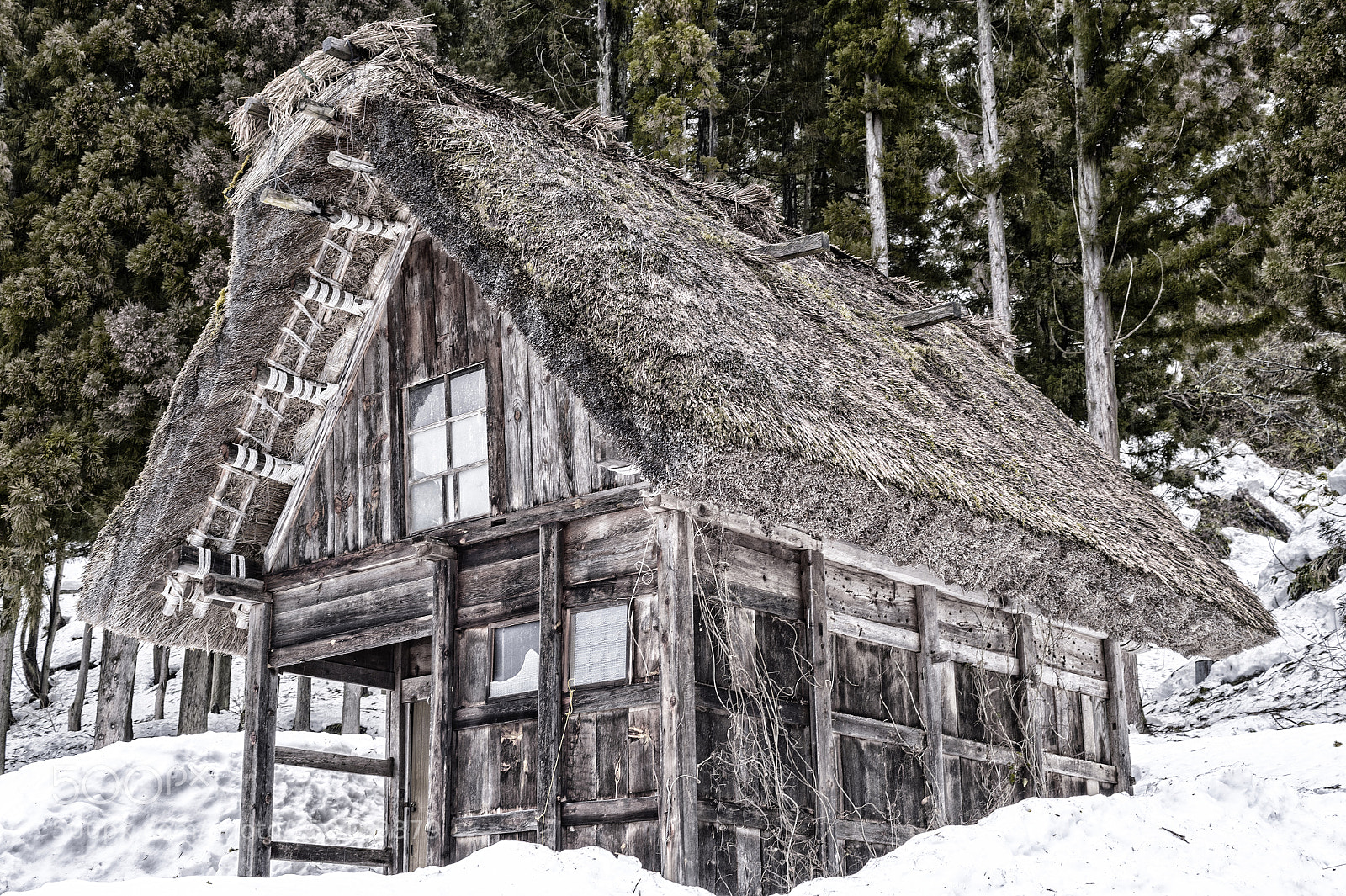 Nikon Df sample photo. Shirakawa-go photography