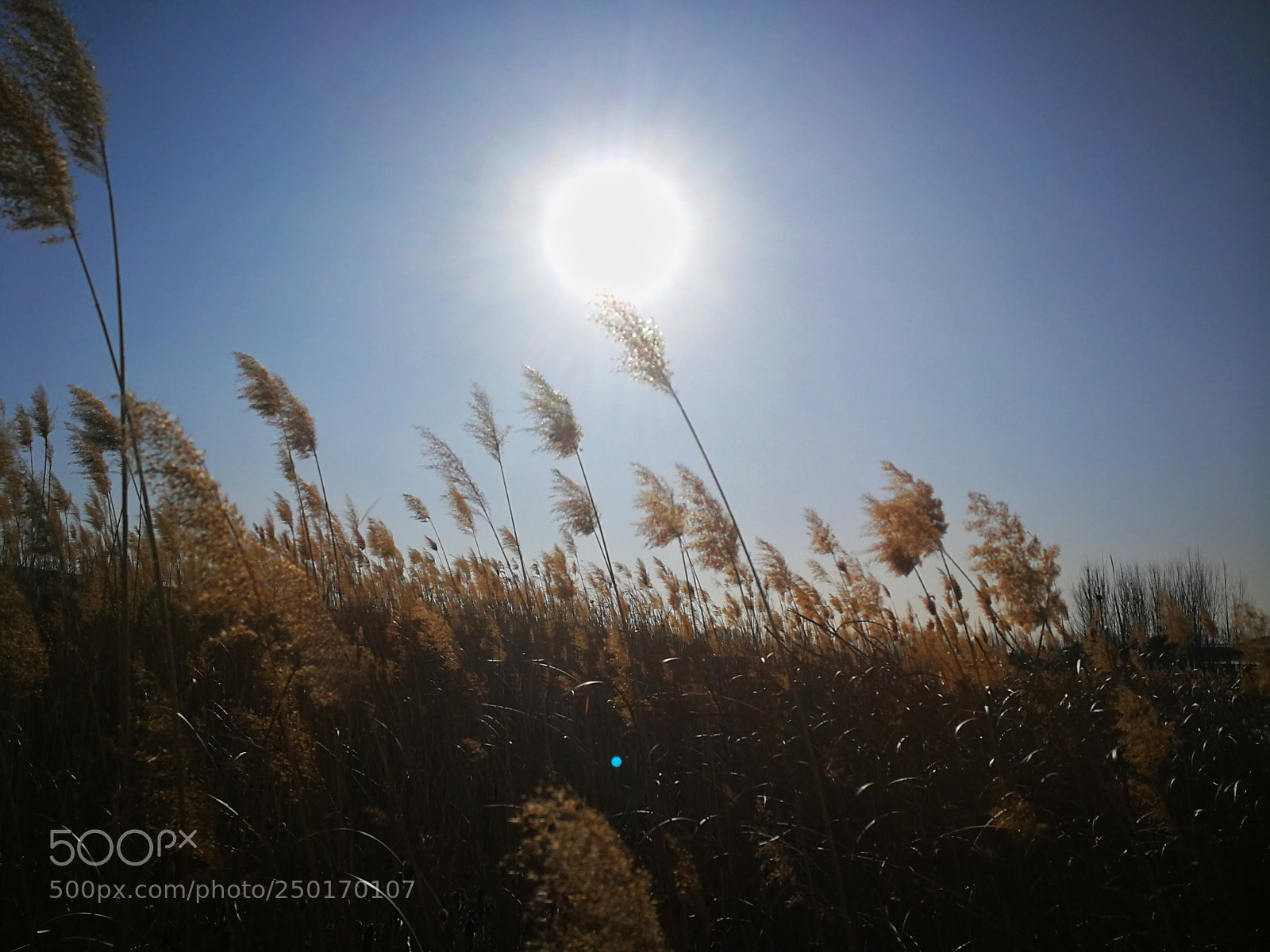 HUAWEI P10 sample photo. Time photography