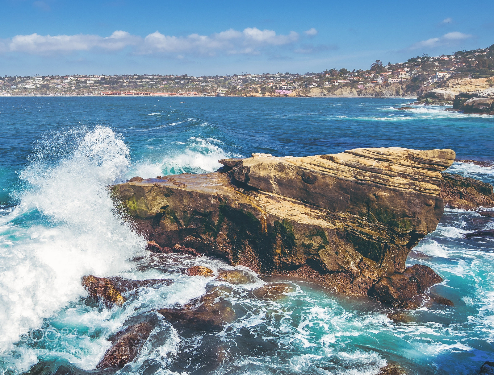 Olympus PEN-F sample photo. La jolla, california photography