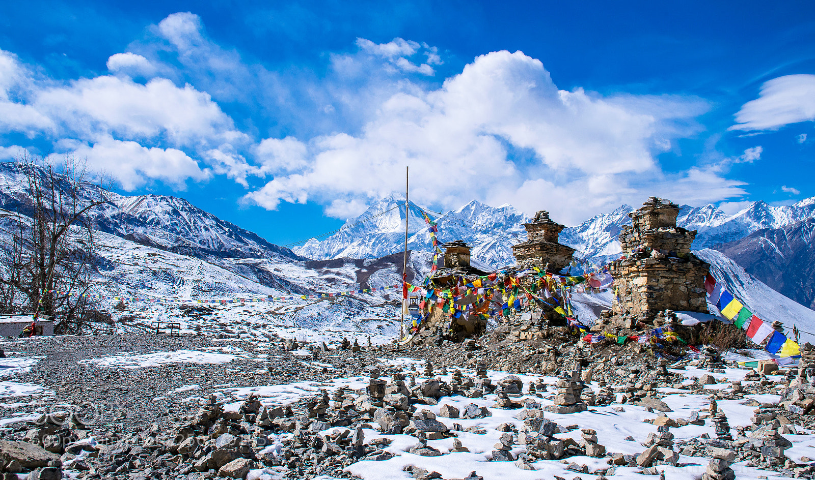 Nikon D5300 sample photo. Muktinath, mustang photography