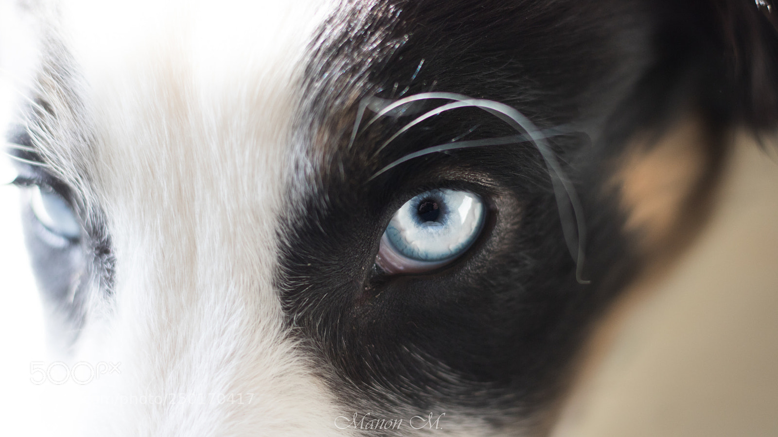 Canon EOS 750D (EOS Rebel T6i / EOS Kiss X8i) sample photo. "behind blue eyes" photography
