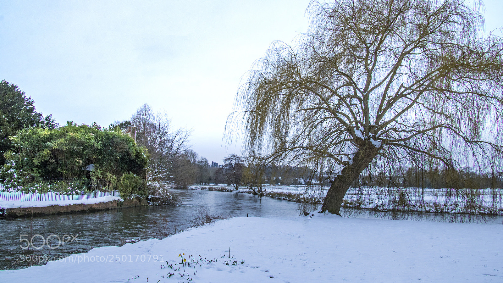 Canon EOS 750D (EOS Rebel T6i / EOS Kiss X8i) sample photo. Winter beauty photography