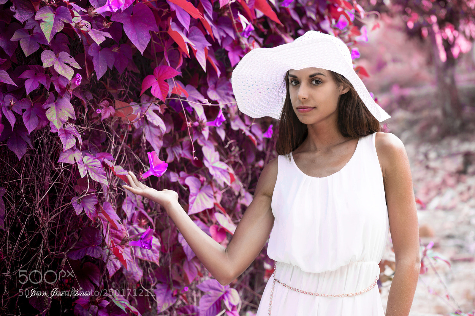 Sony a7R II sample photo. Bbbtbuena pp photography