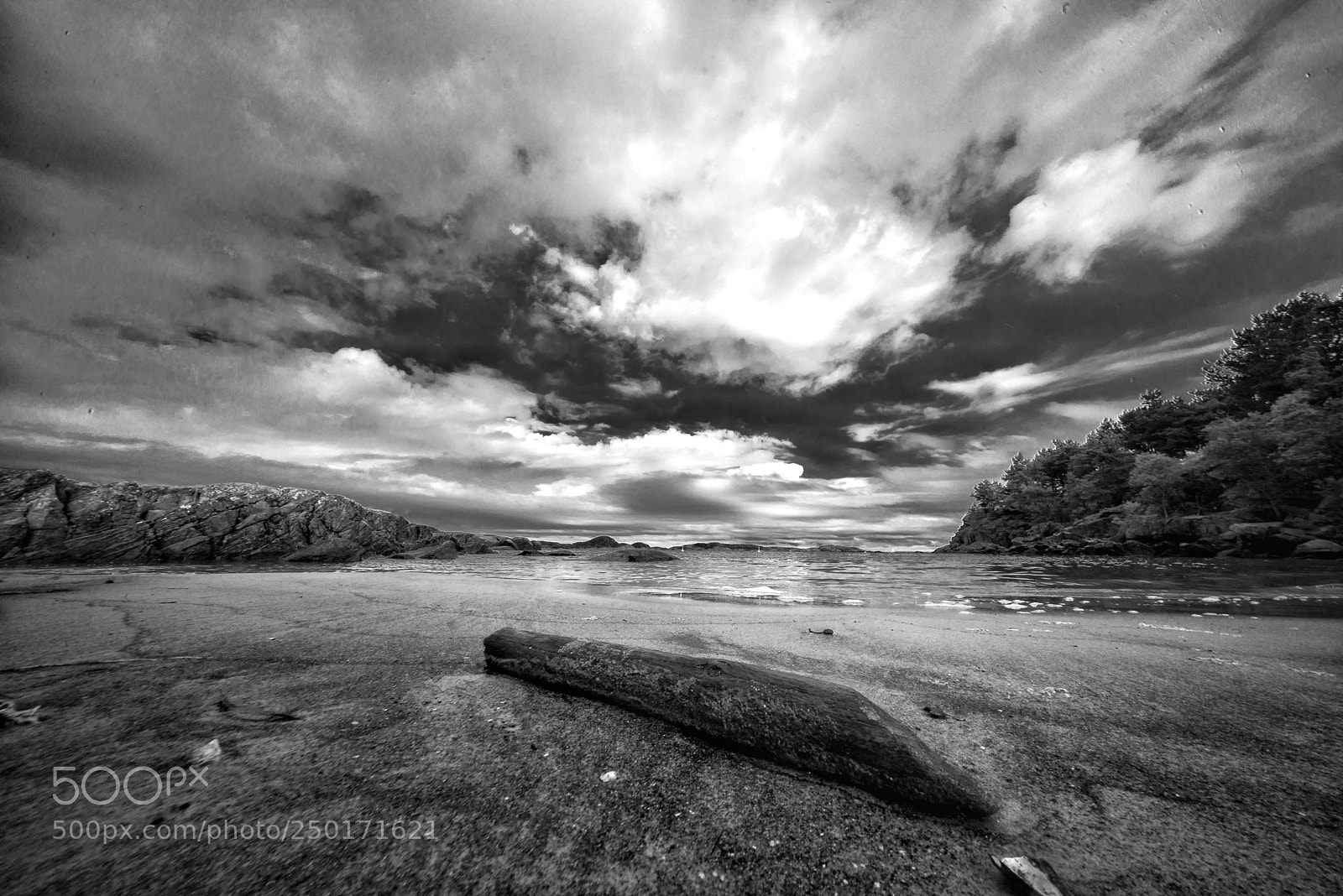 Sony a7R sample photo. Driftwood photography