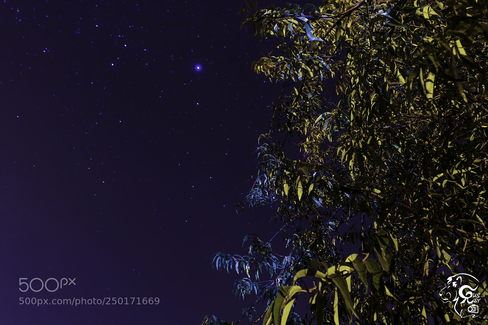 Canon EOS 7D Mark II sample photo. Estrellas photography