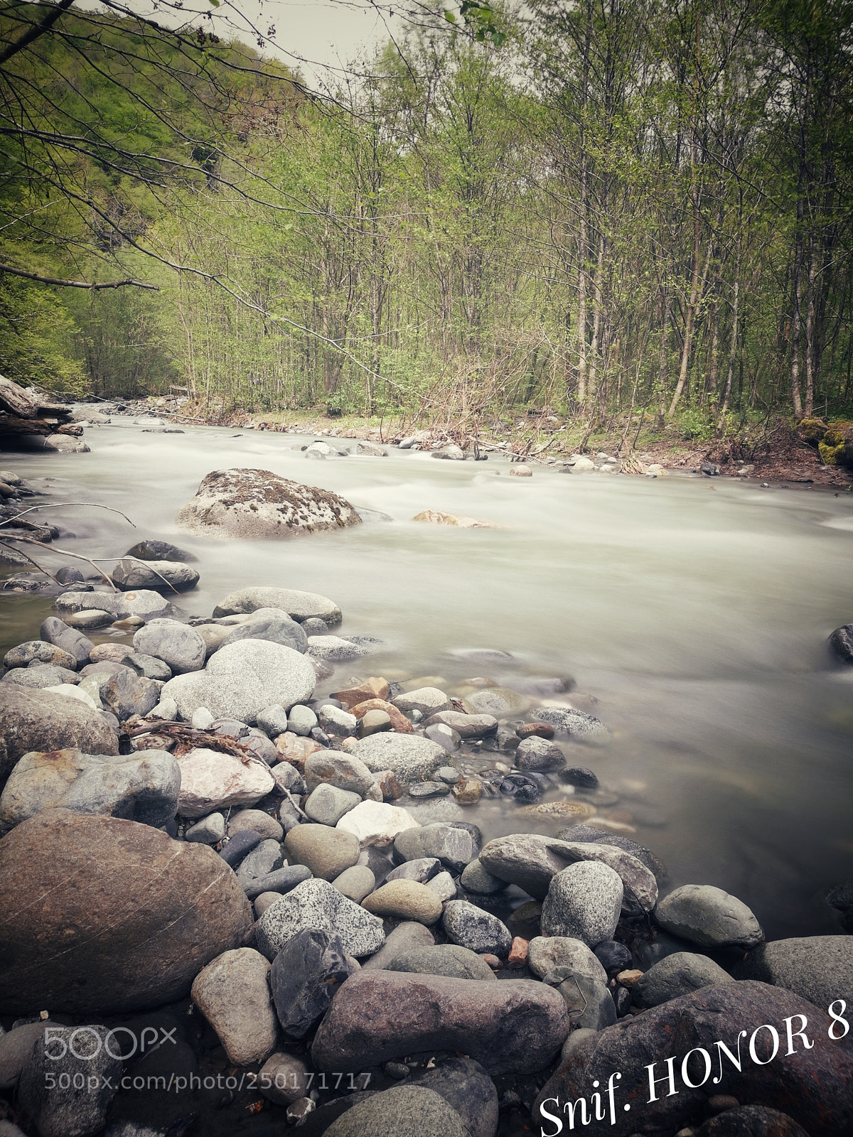 HUAWEI Honor 8 sample photo. Bsh photography