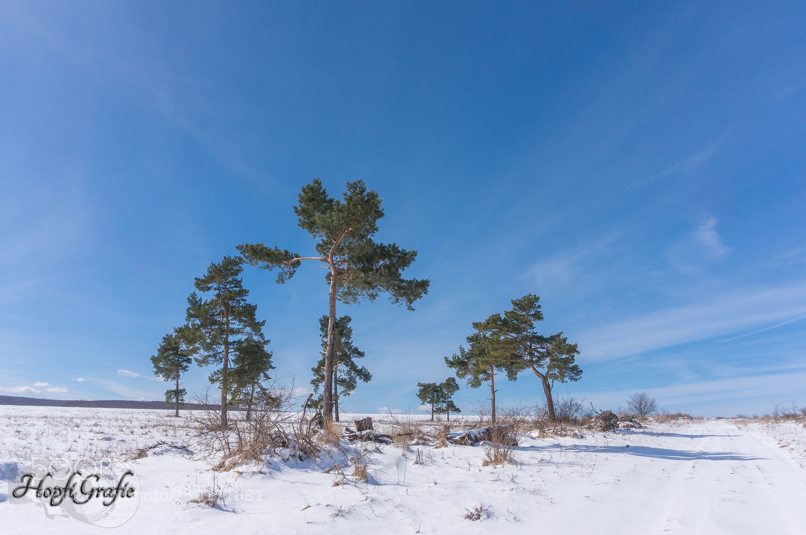 Sony Alpha NEX-3N sample photo. Winterlandschaft photography