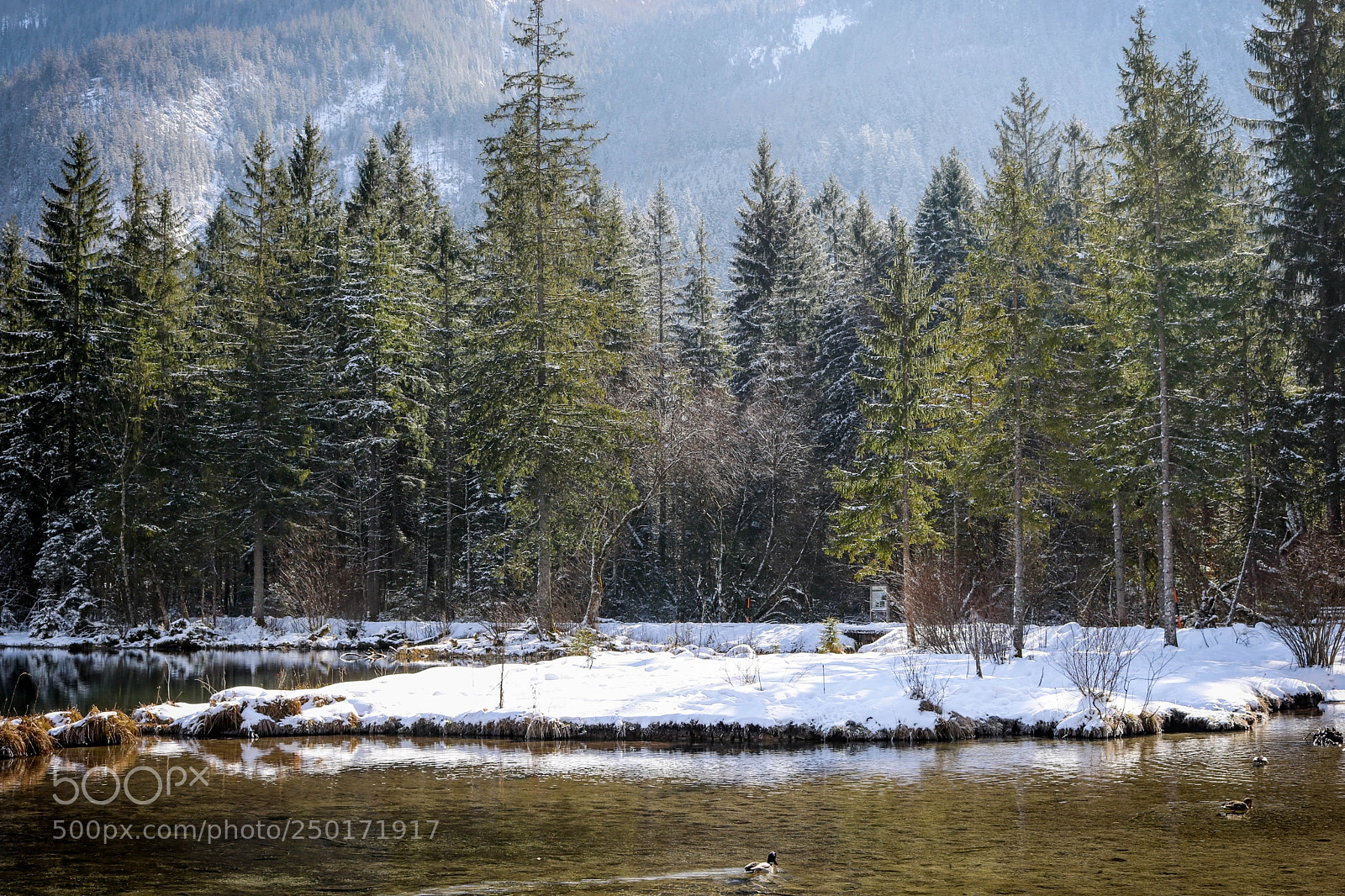 Canon EOS 750D (EOS Rebel T6i / EOS Kiss X8i) sample photo. Zauberwald am hintersee... photography