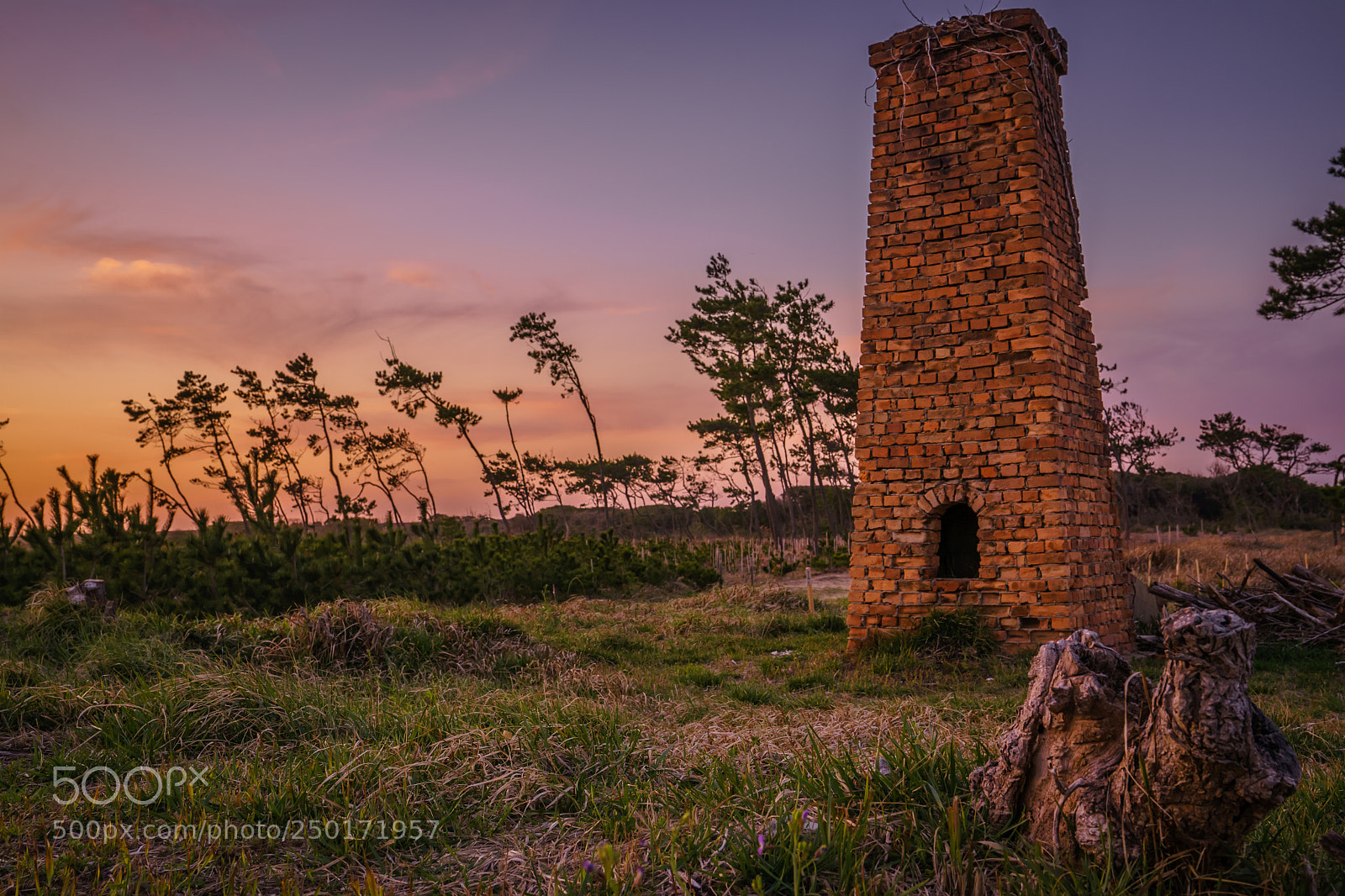 Sony a7 II sample photo. Orange tower photography