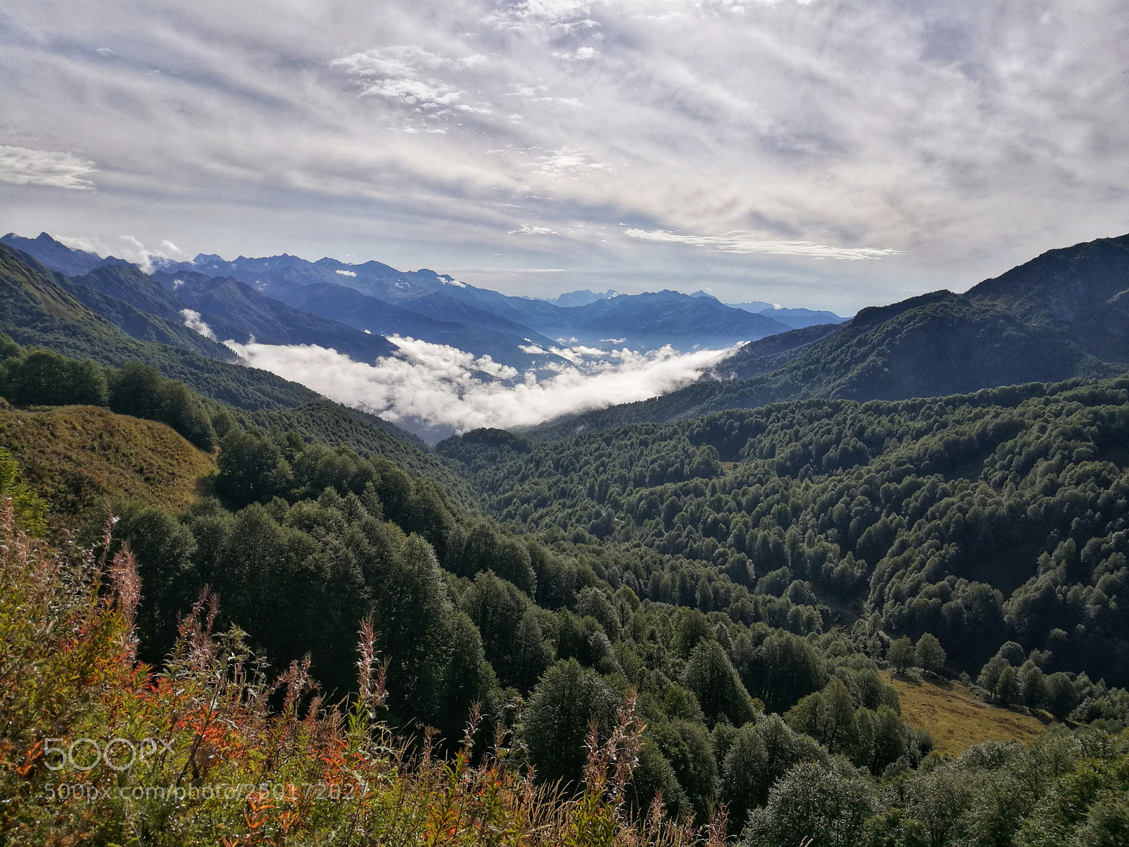 HUAWEI Honor 8 sample photo. Sdr photography