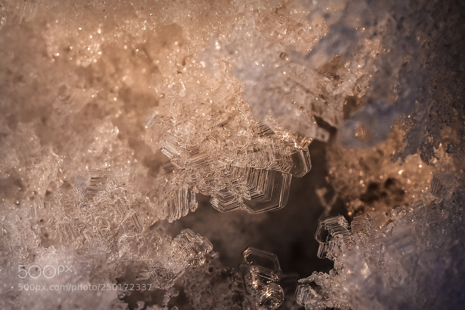 Nikon D7200 sample photo. Ice crystals growing on photography