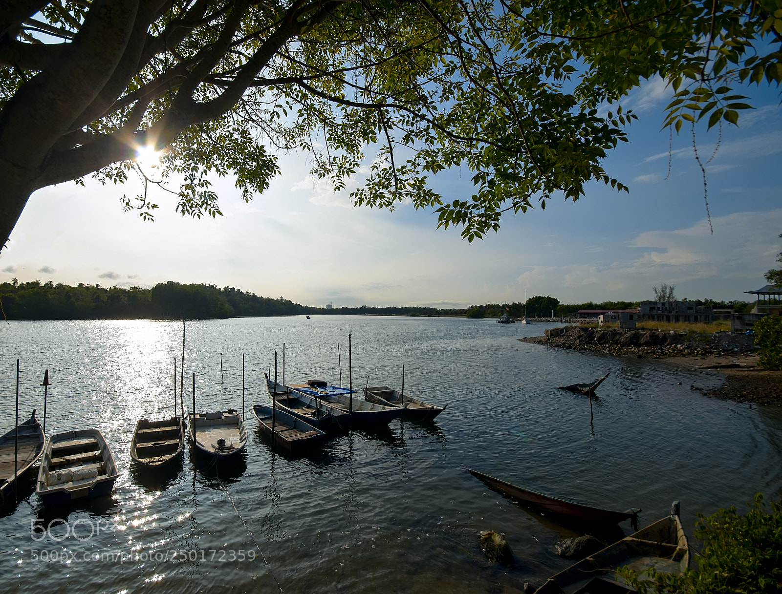 Nikon D90 sample photo. Morning light scenery at photography