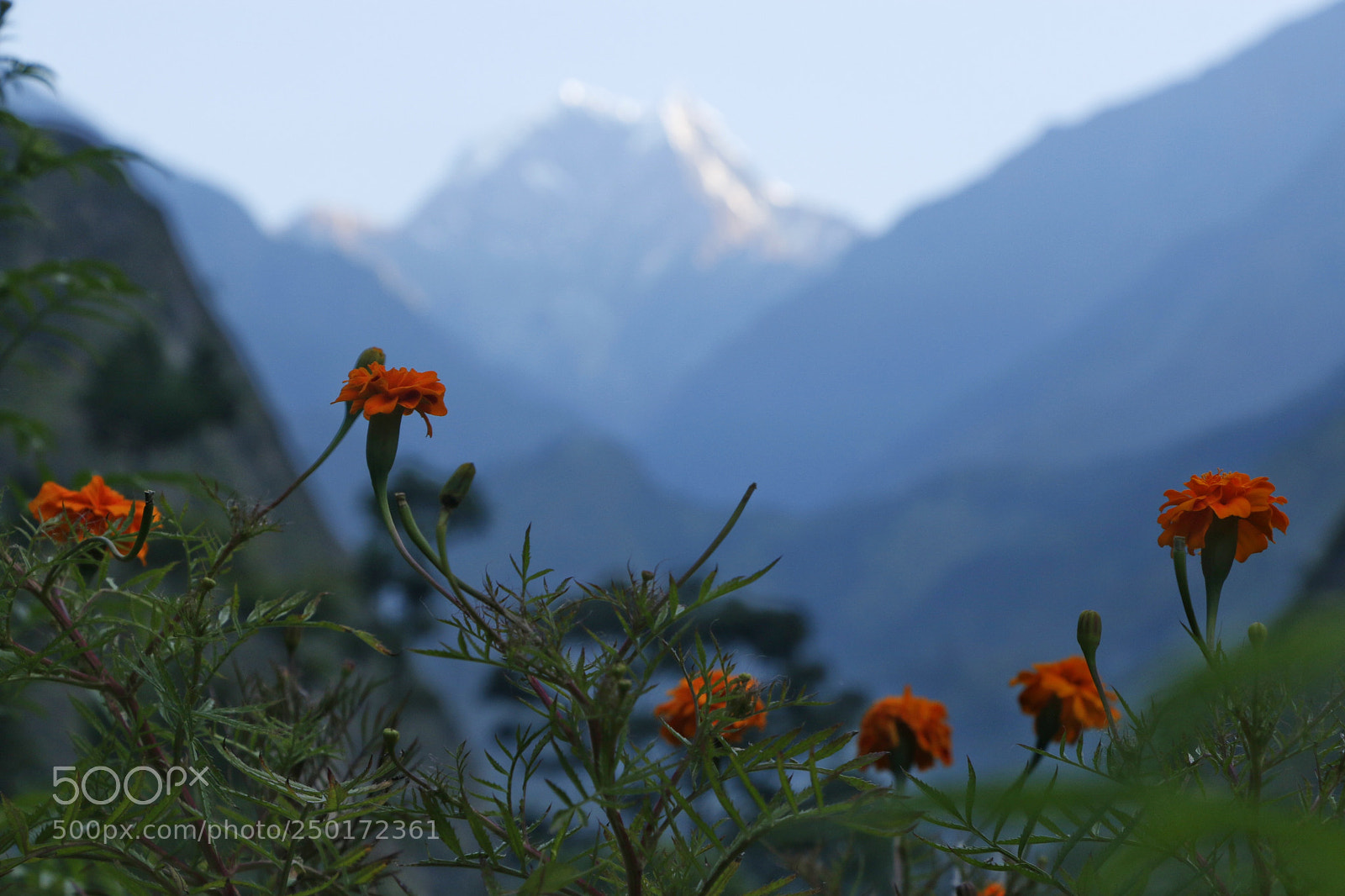 Canon EOS 70D sample photo. Untitled photography