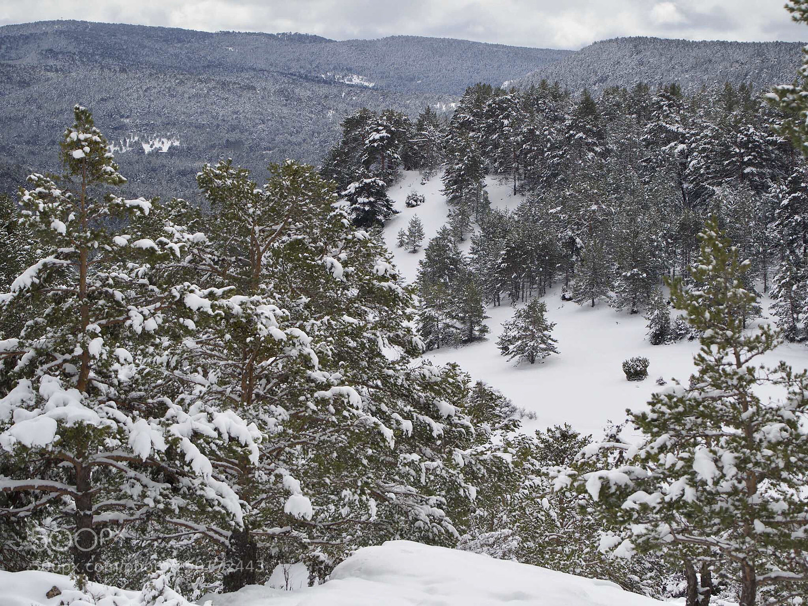 Olympus OM-D E-M1 Mark II sample photo. Paisaje nevado  photography