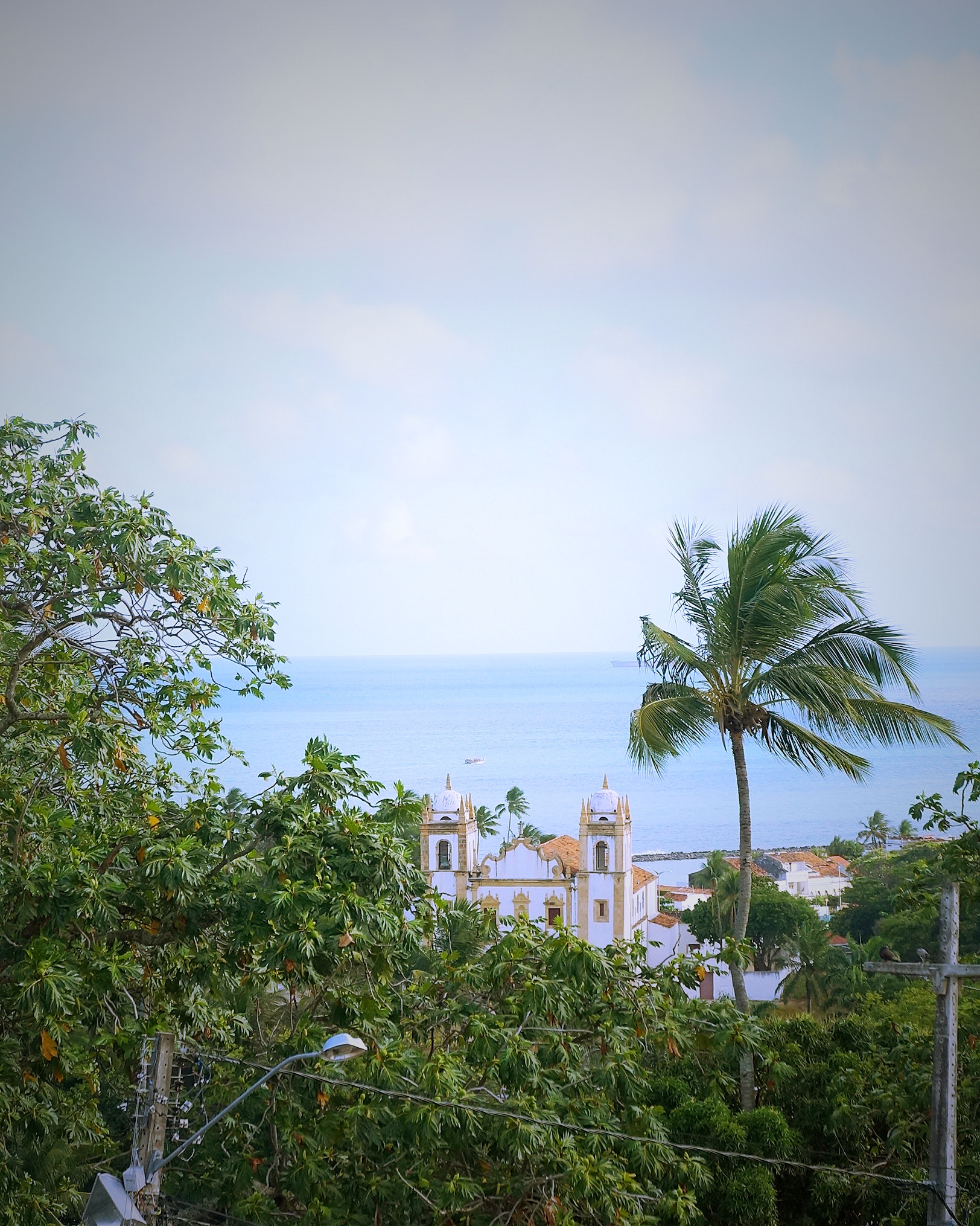 Sony Alpha NEX-F3 sample photo. Mira photography