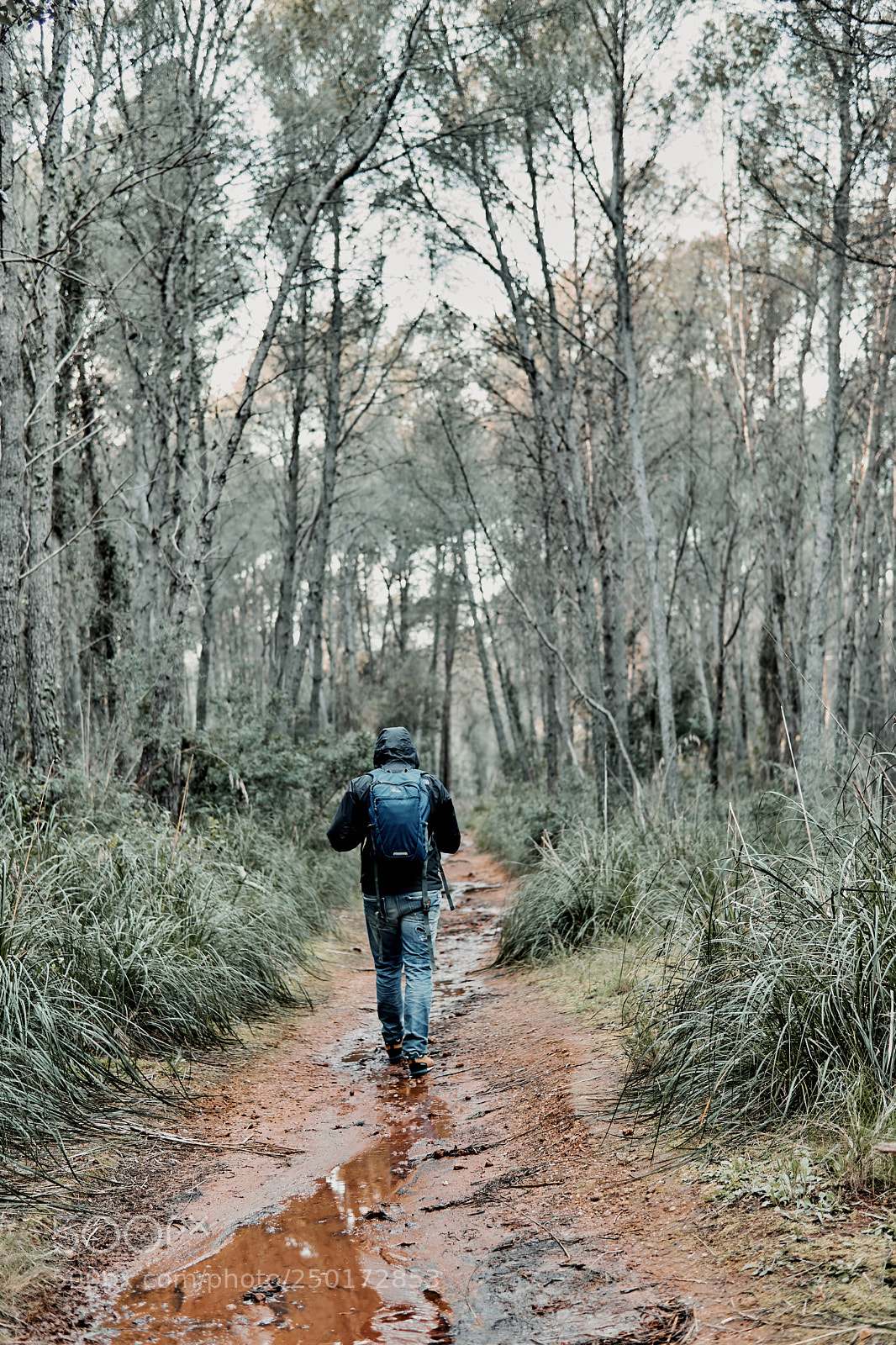 Sony a6300 sample photo. Untitled photography