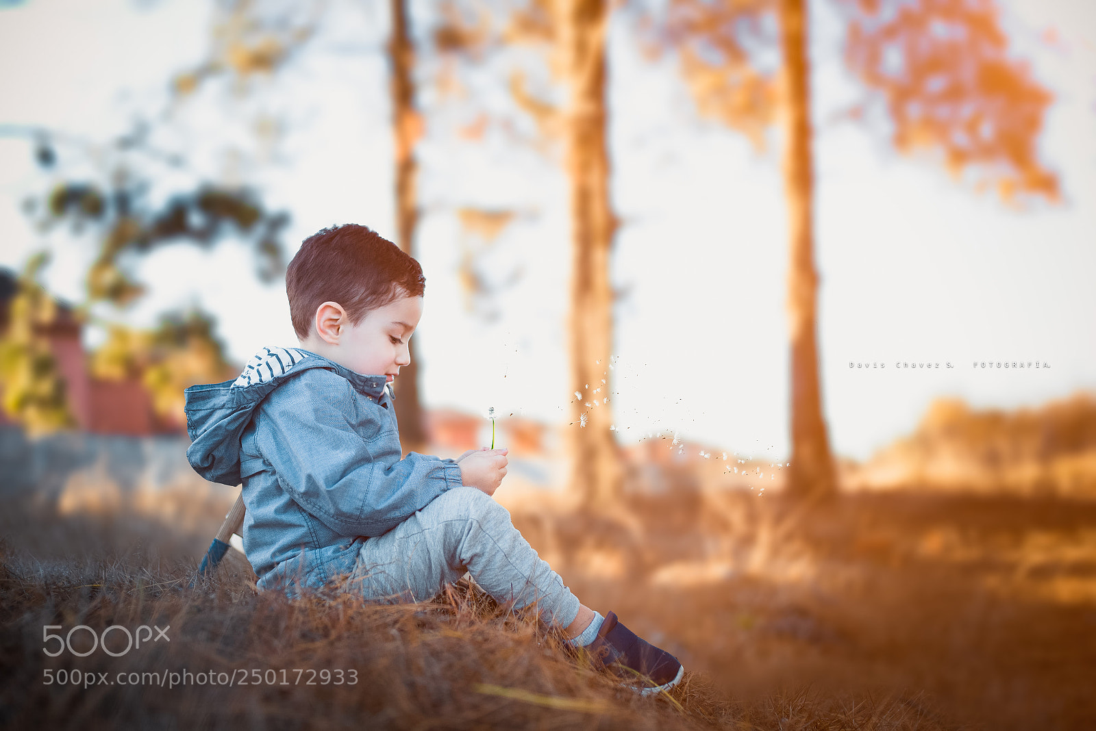Nikon D610 sample photo. Renato.jpg photography