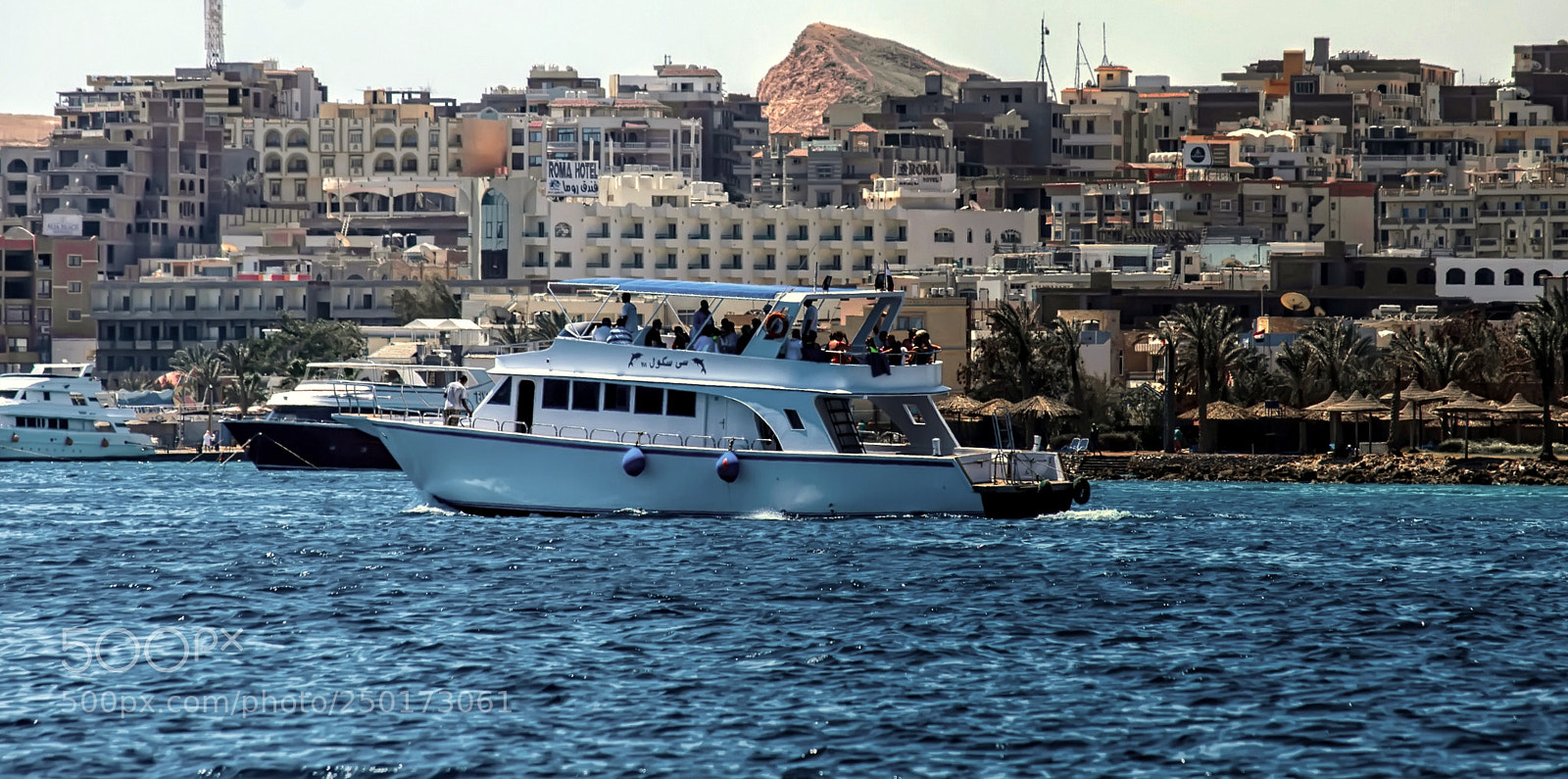 Nikon D5100 sample photo. красное море photography